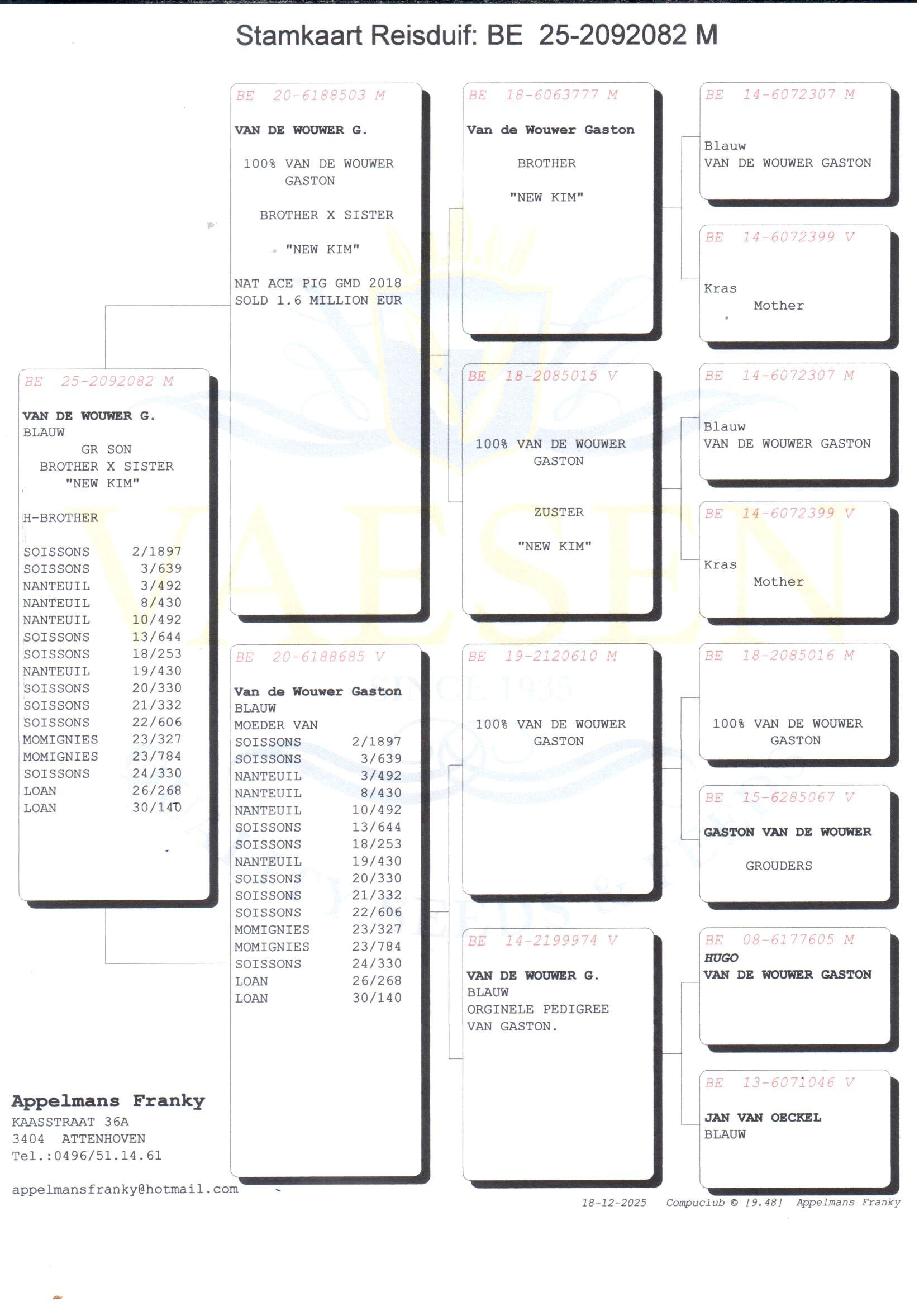 pedigree Inteelt New Kim x 100% Vd Wouwer
