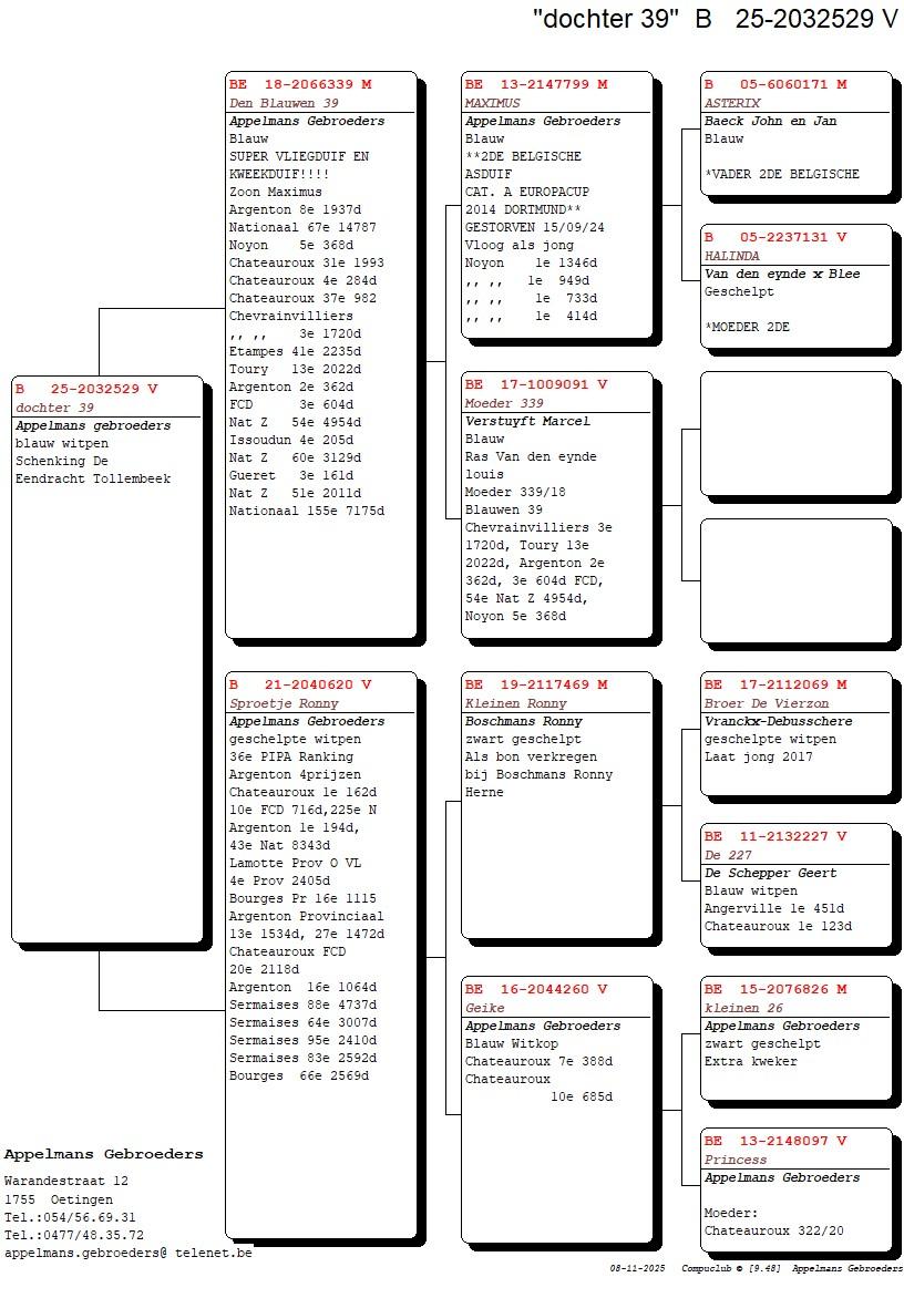 pedigree Appelmans Gebroeders (Oetingen) duif ter plaatse