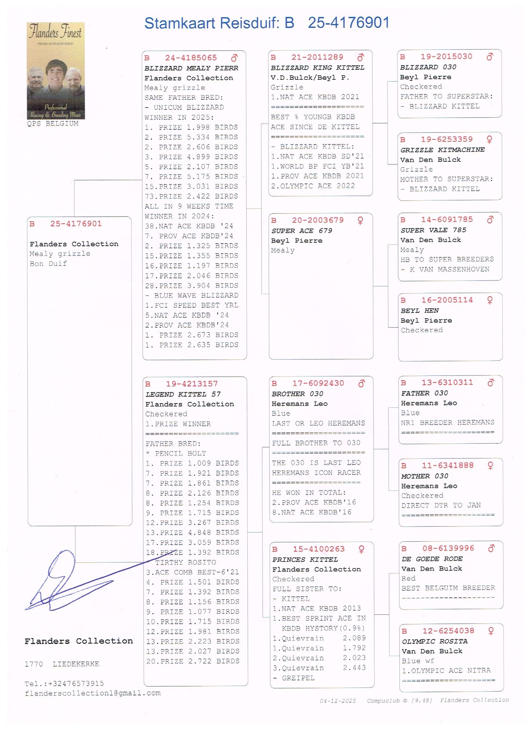 pedigree De Ridder - Van Den Brande (Liedekerke) duif ter plaatse