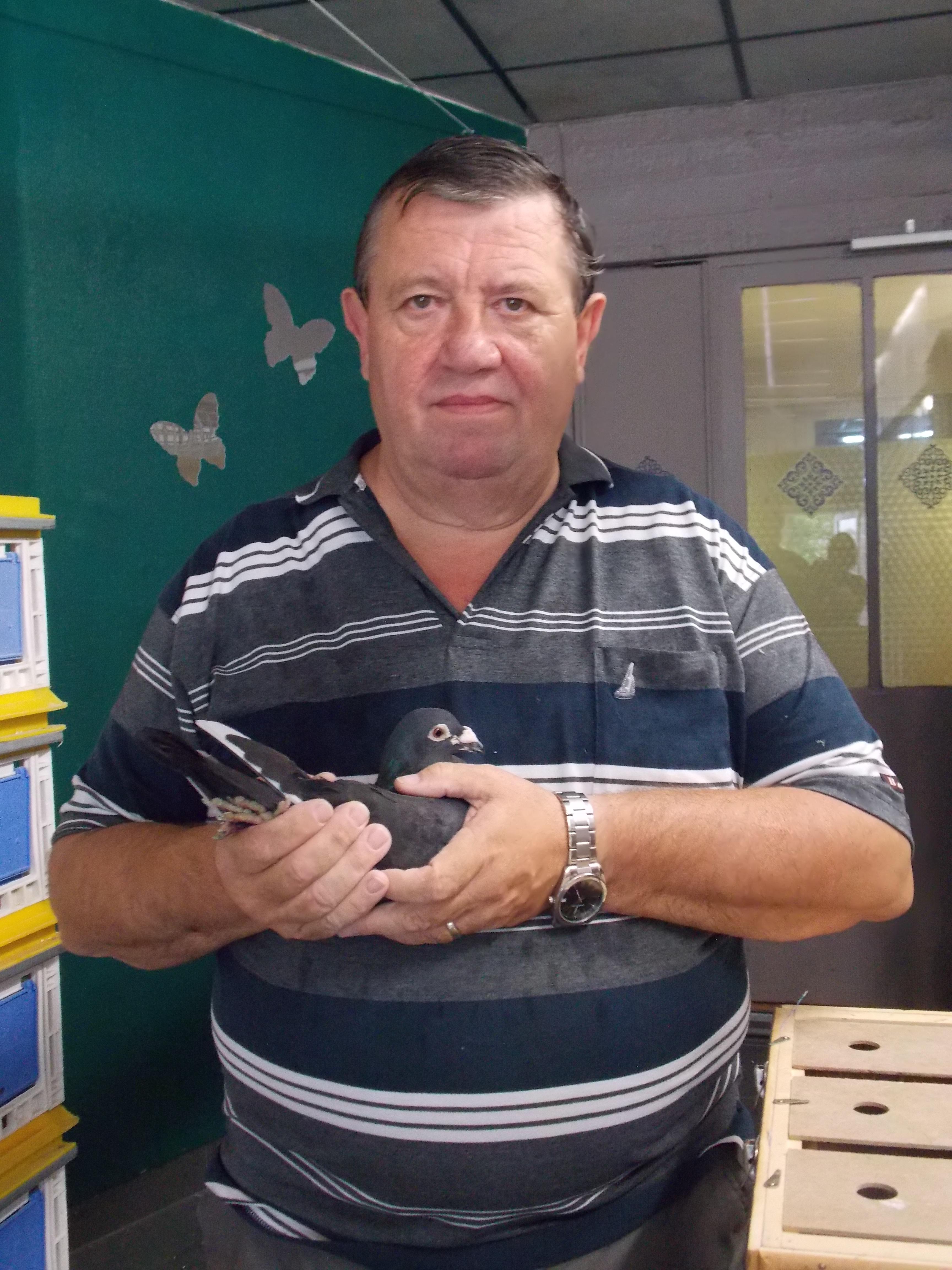 De Coster - Lanneer ( Vollezele) jong op afspraak