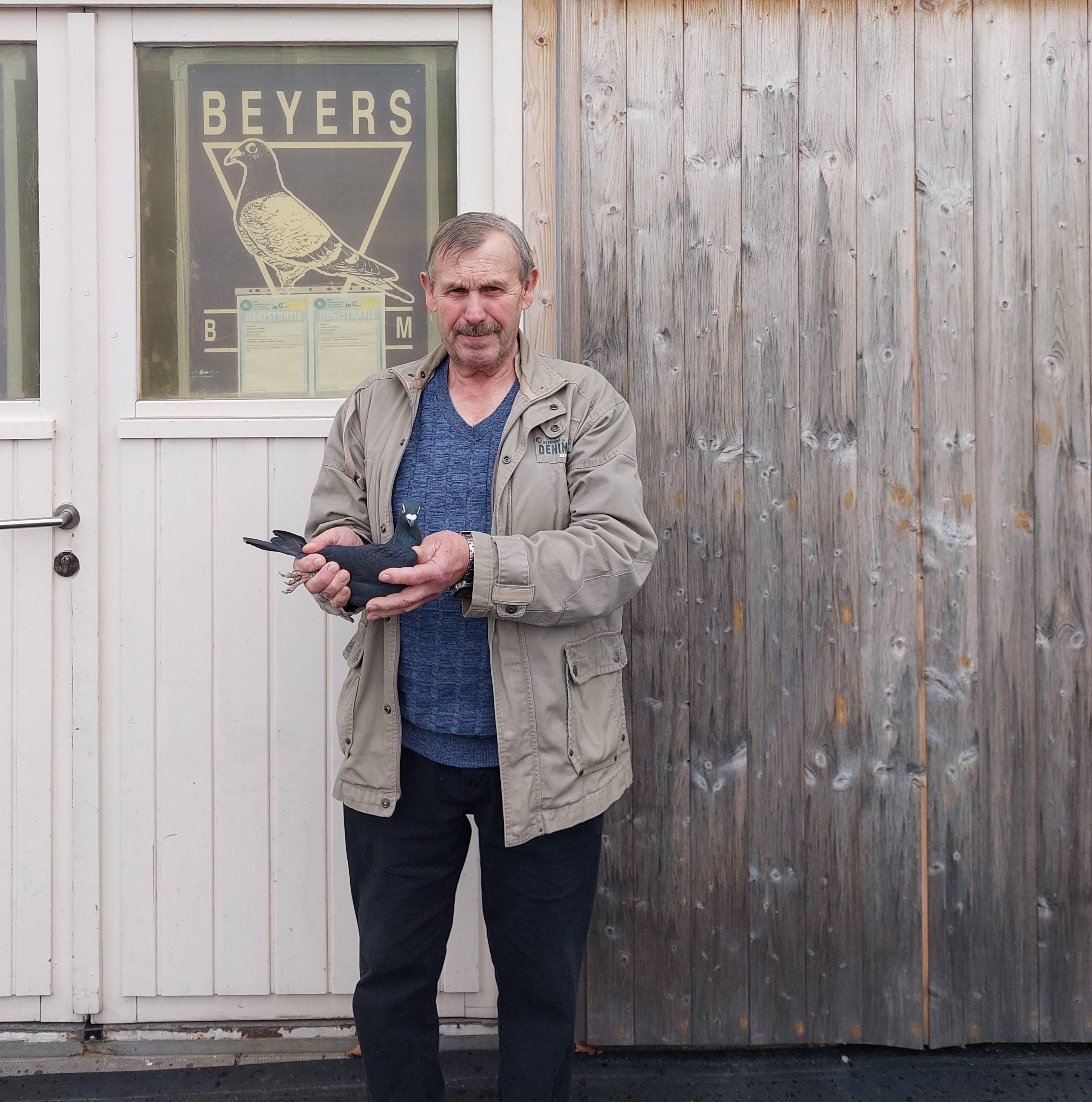 Meert Yves (Johny) (Pollare) duif ter plaatse