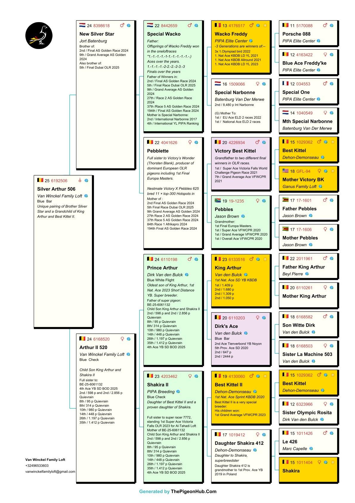 pedigree Silver Arthur 506 