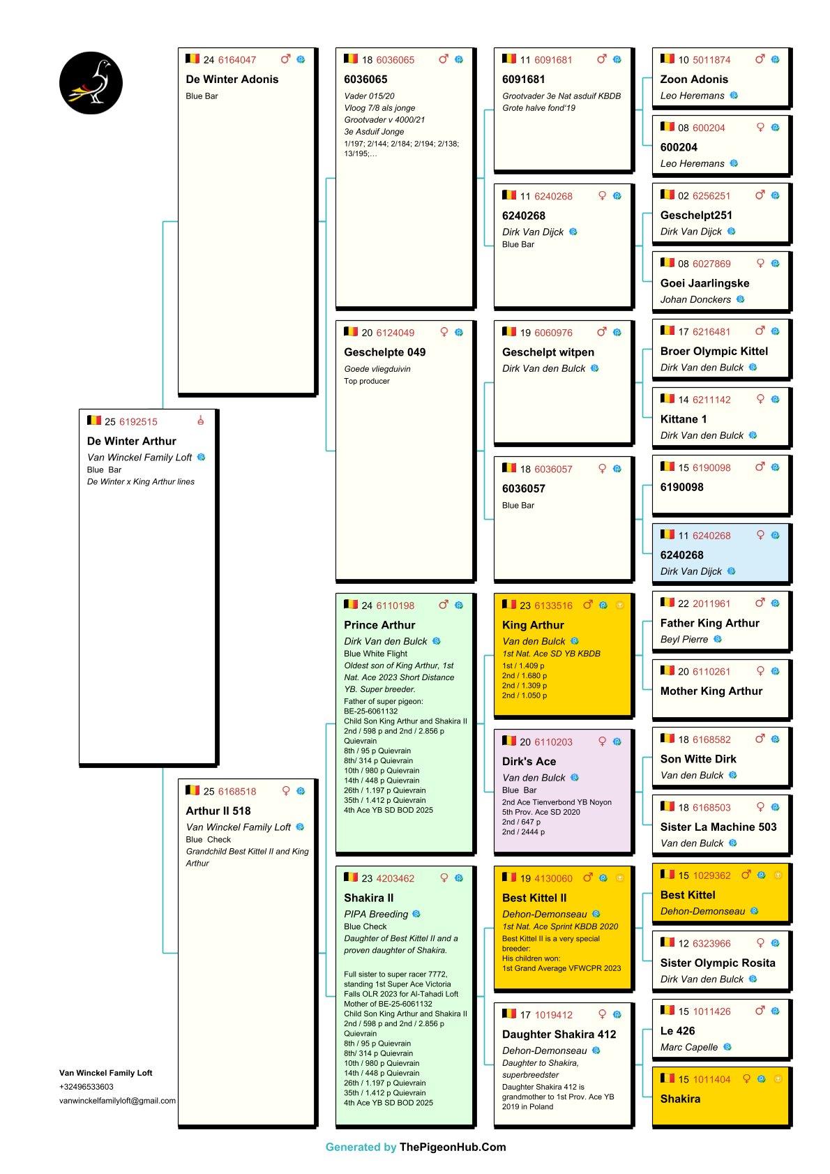 pedigree De Winter x King Arthur lijnen 