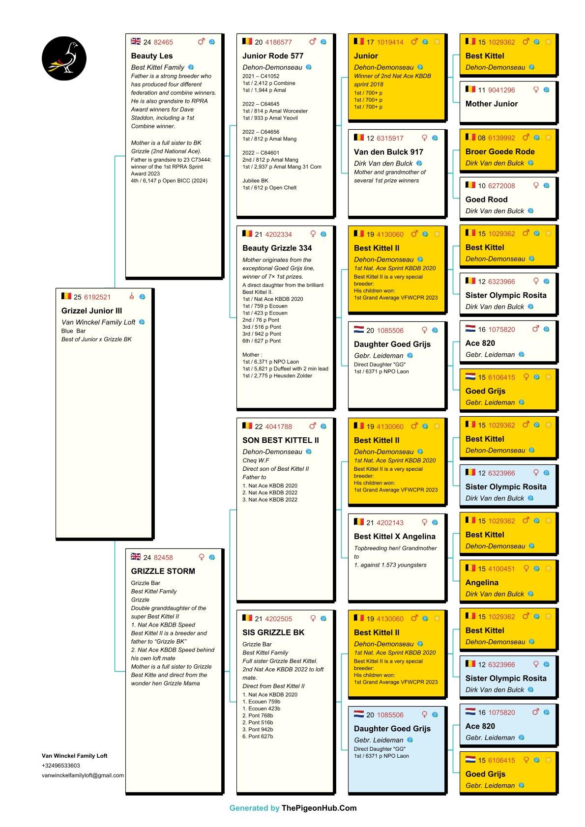 pedigree Grizzel Junior III 