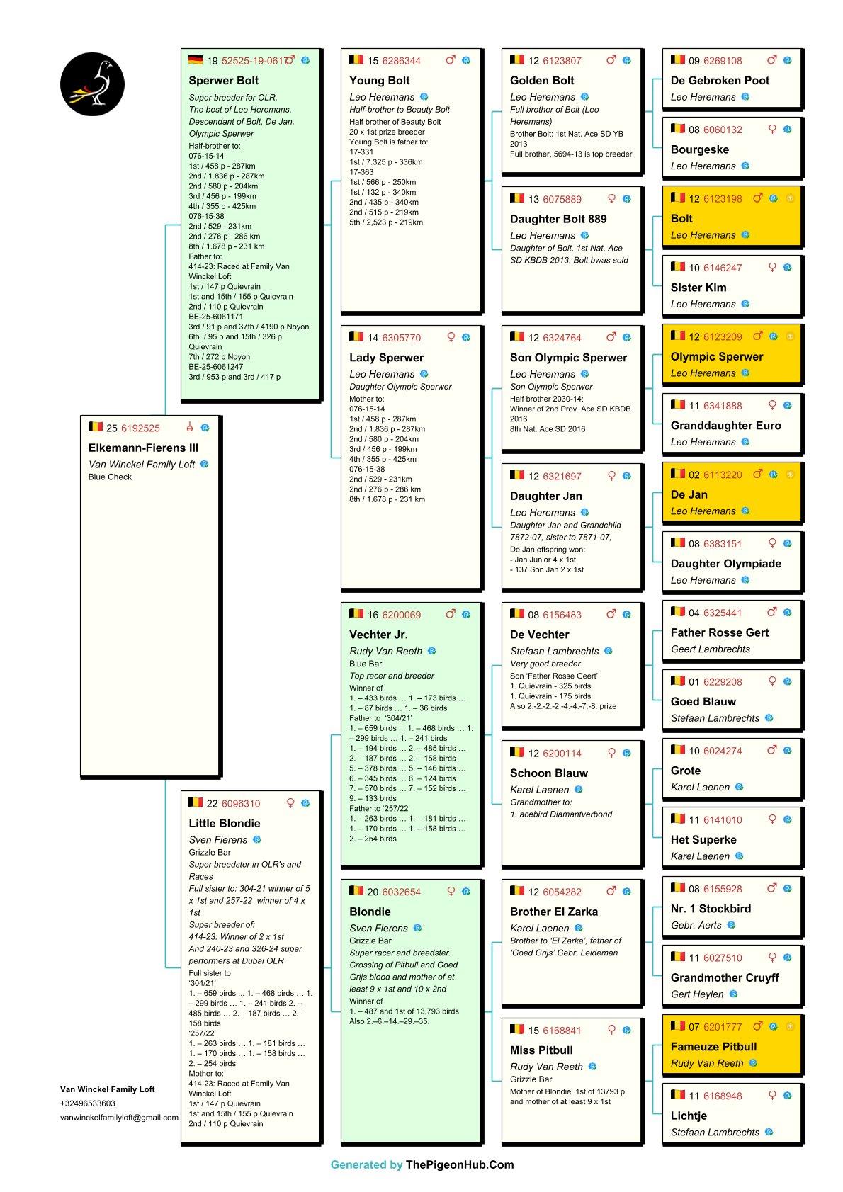 pedigree Elkemann Fierens III 