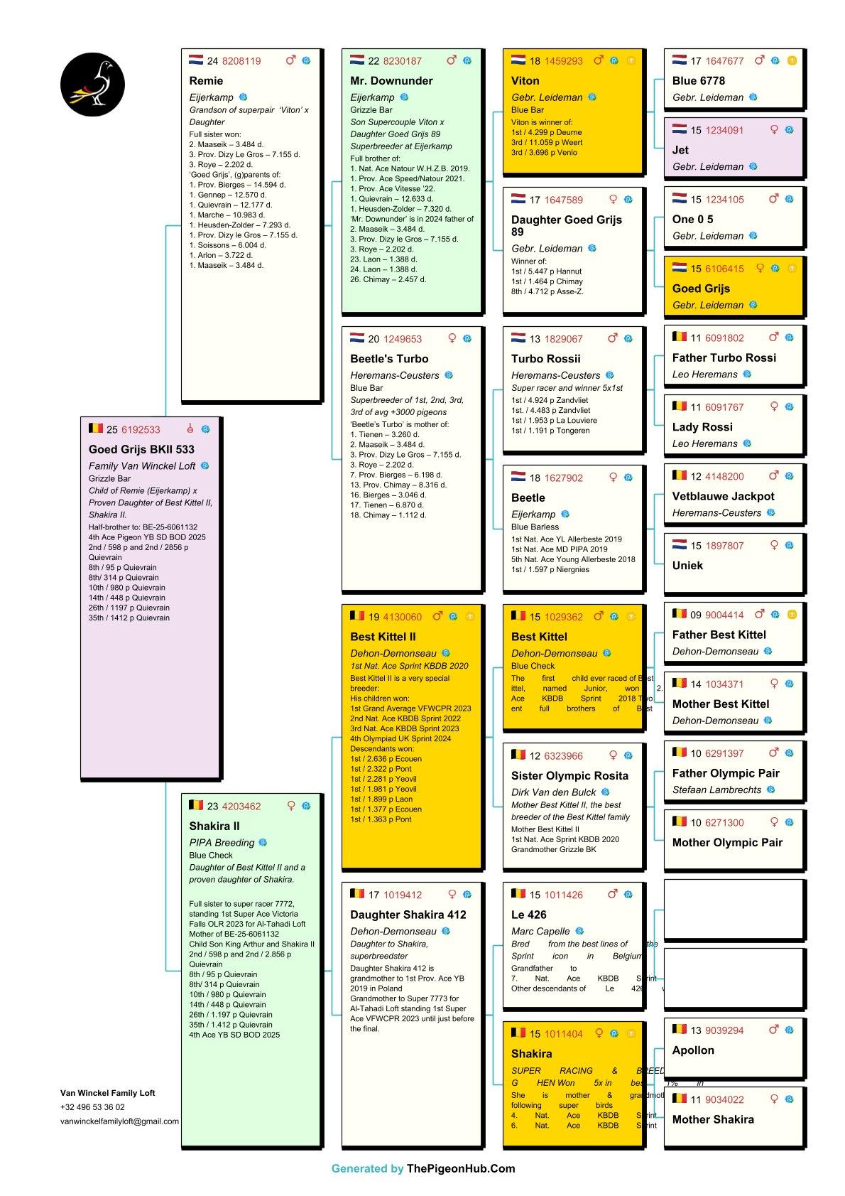 pedigree Goed Grijs BKII 533 