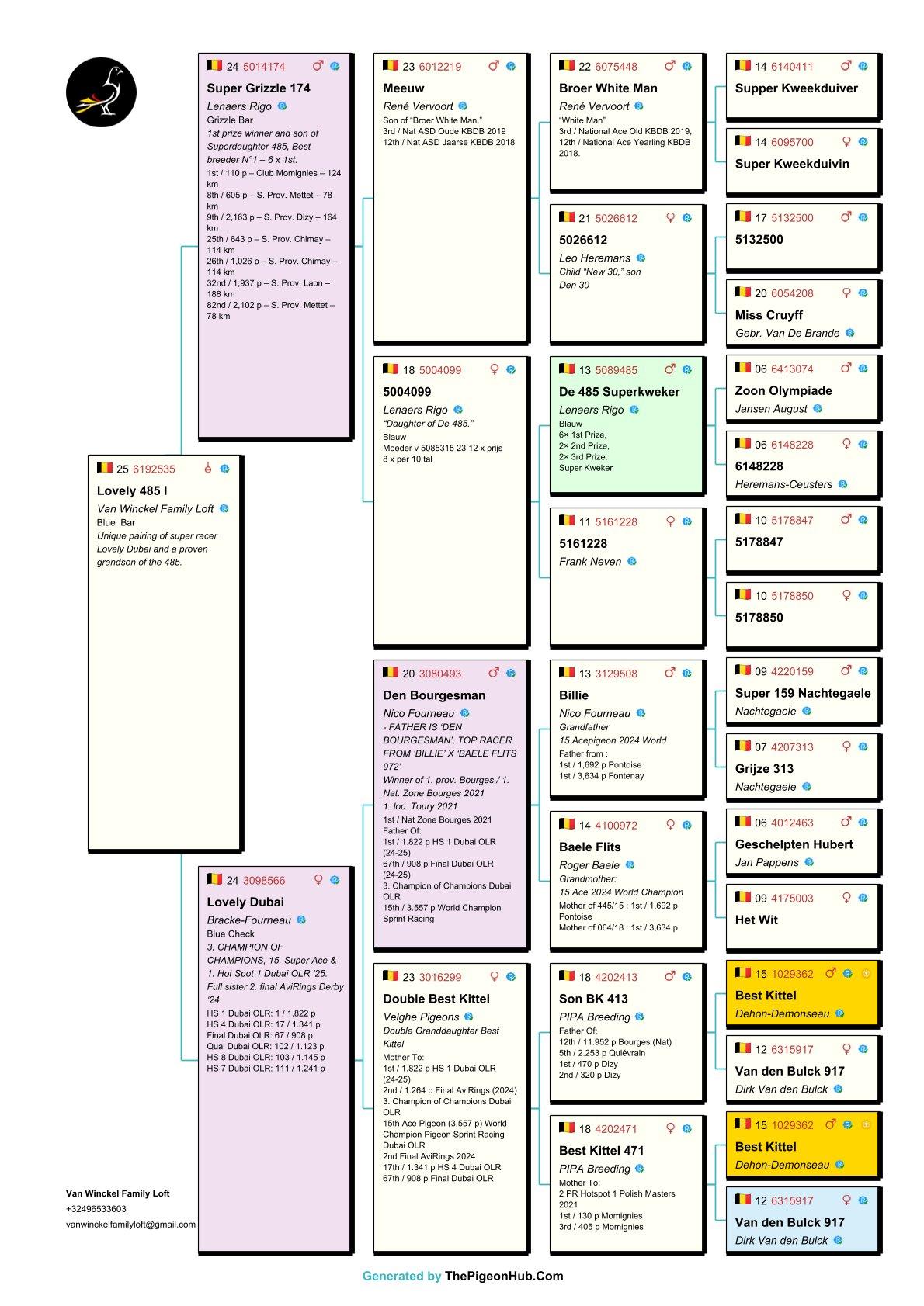pedigree Lovely 485 I 