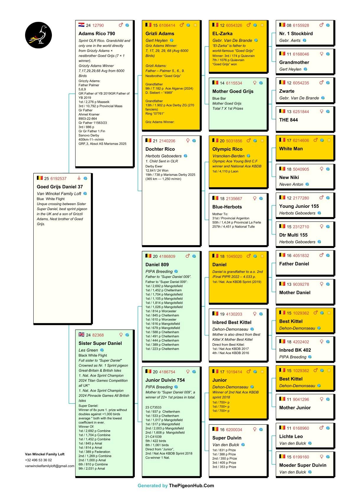 pedigree Goed Grijs Daniel 37 