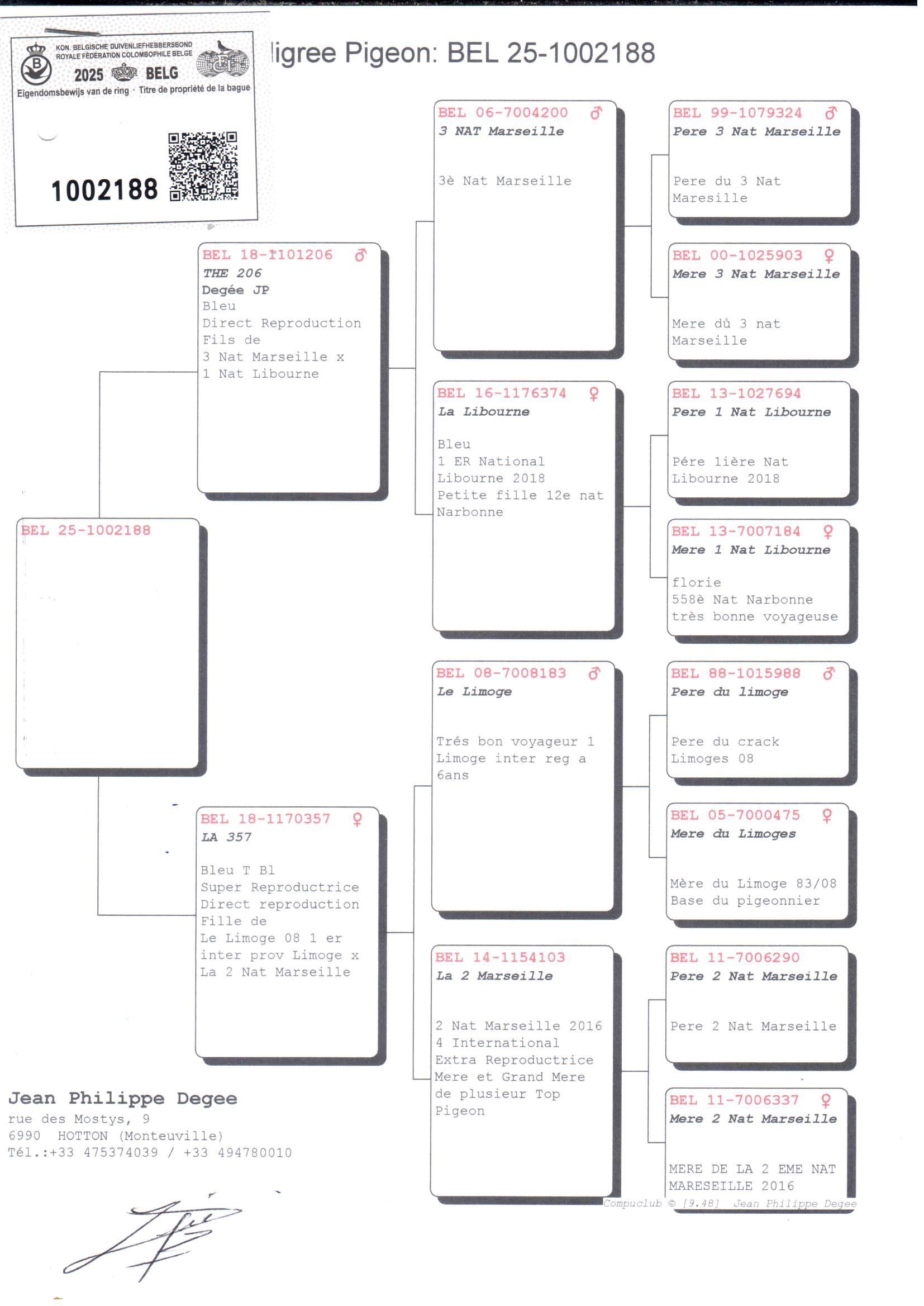 pedigree Zoon 3° Nat Marseille x Dochter 2° nat Marseille 