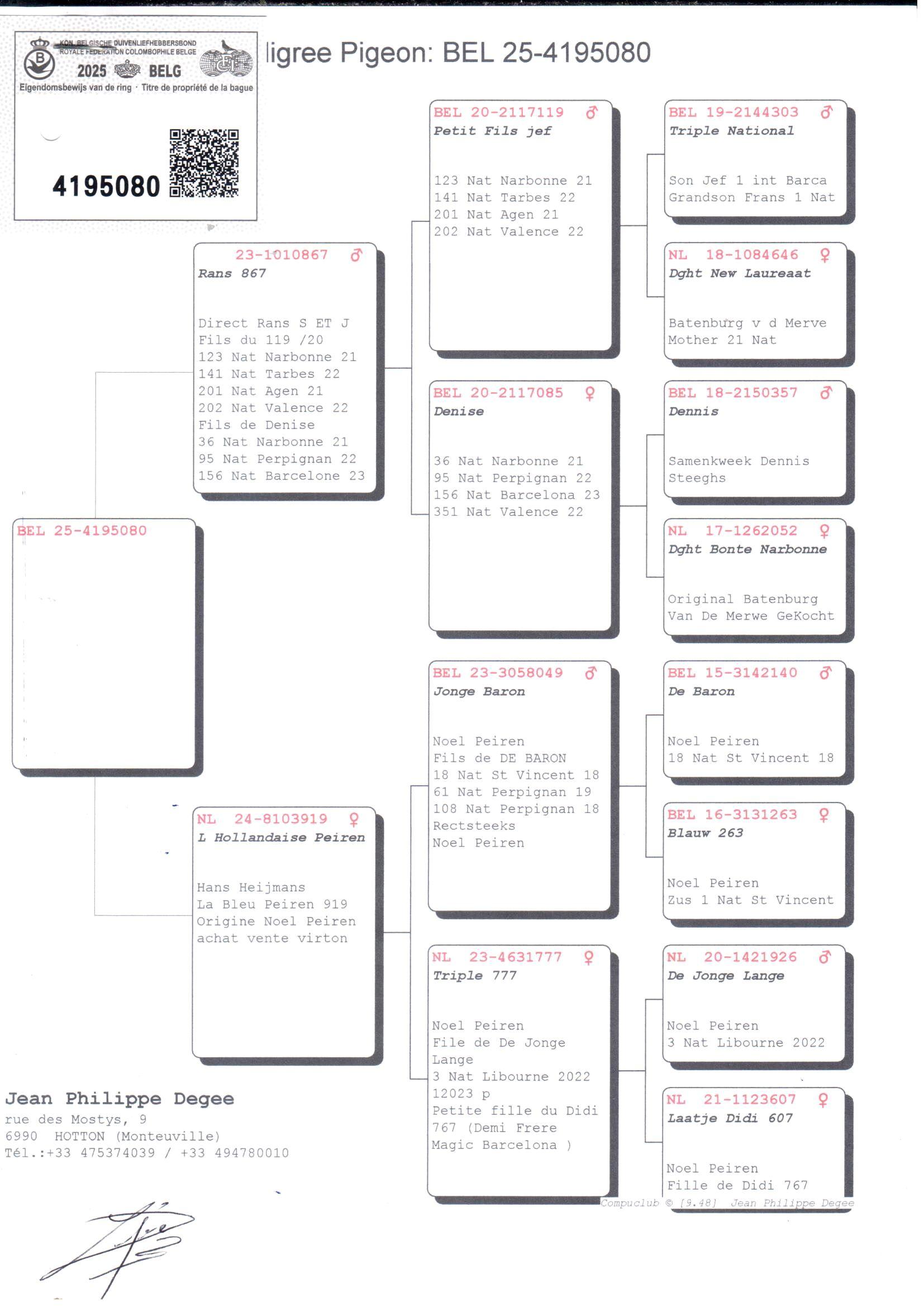 pedigree Zoon 36° Nat Perpignan x Kleindochter 3° Nat Libourne 