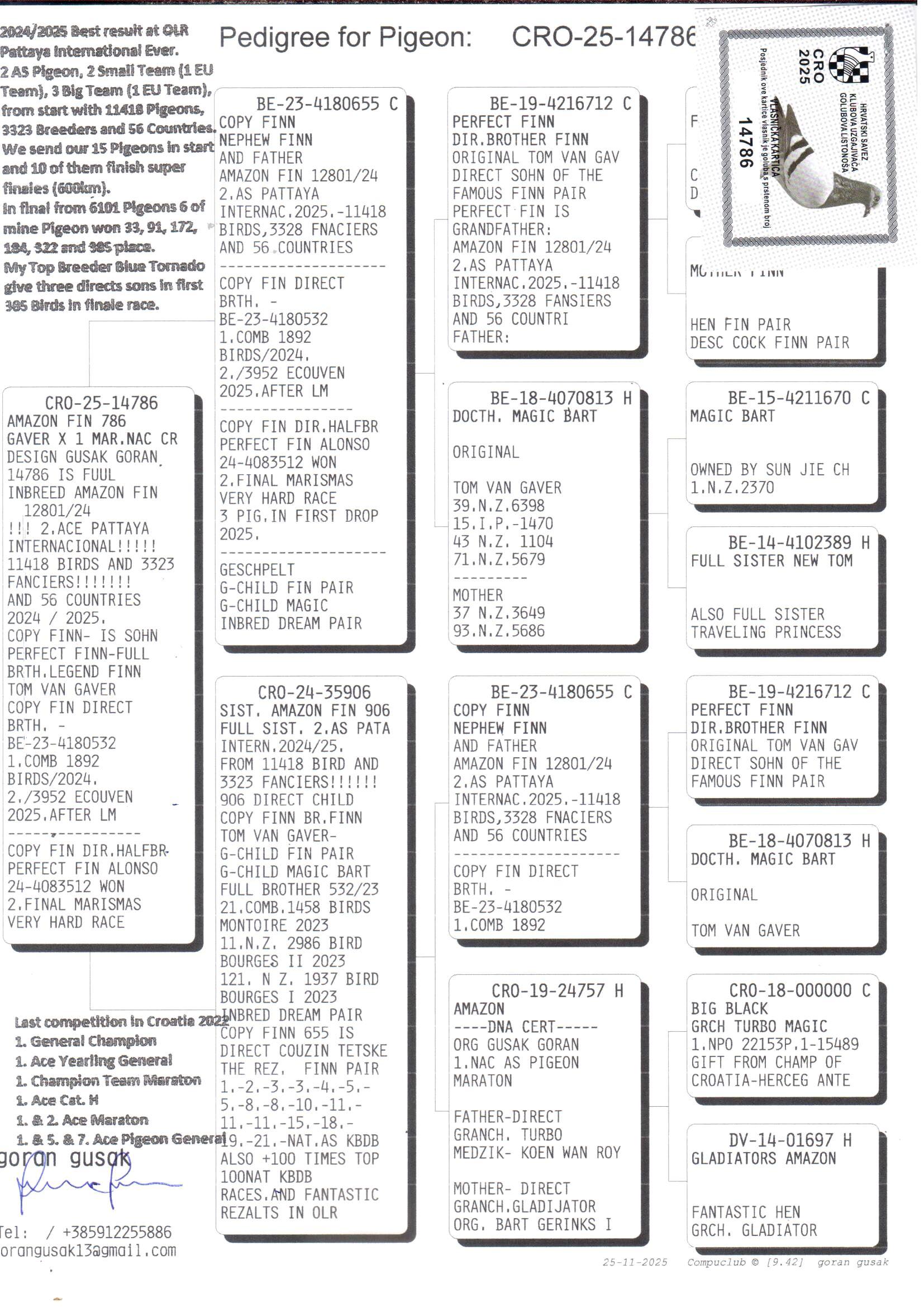 pedigree Copy Finn x Sister Amazon Finn 906 