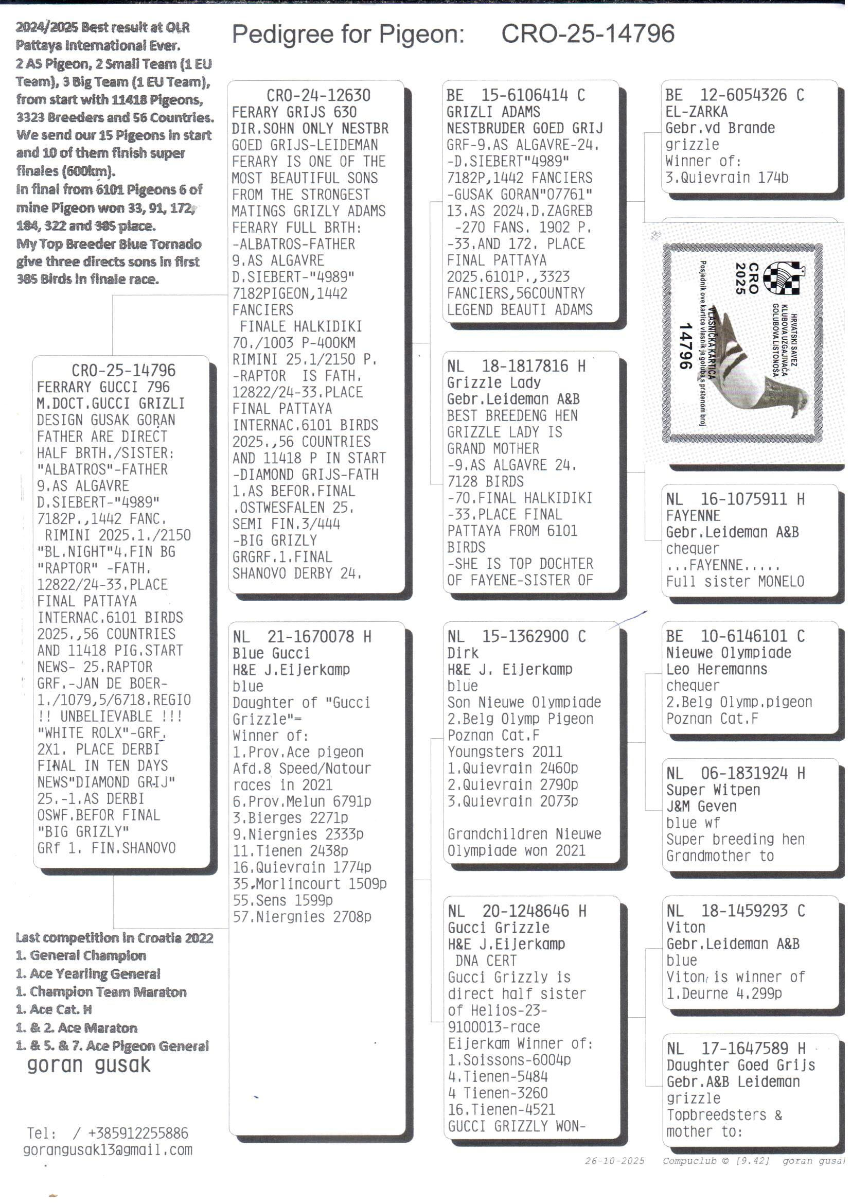 pedigree Ferary Grijs 630 x Blue Gucci 