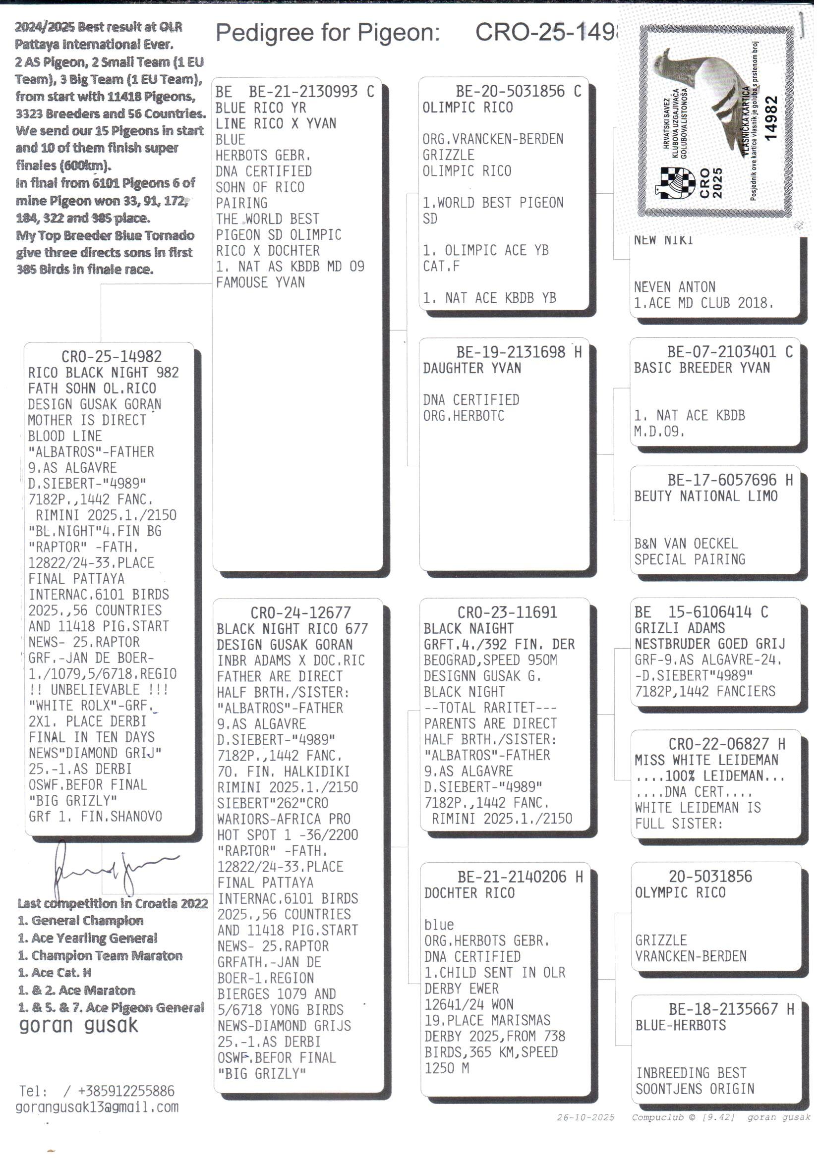 pedigree Blue Rico YR x Night Rico 677 