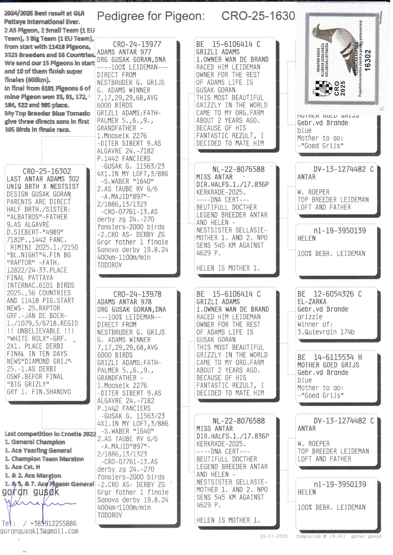pedigree Adams Antar 977 x Adams Antar 978 