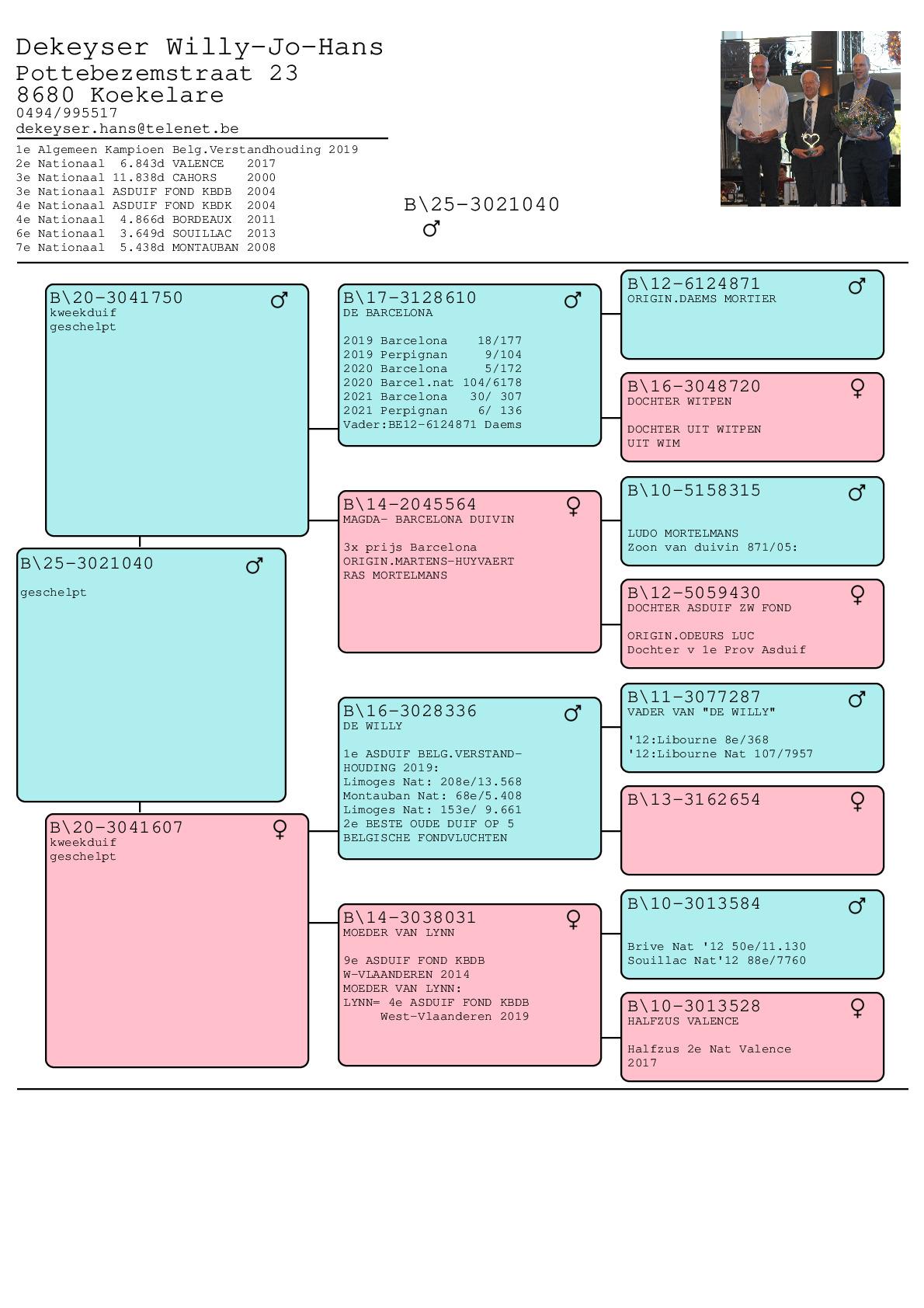 pedigree DEKEYSER W-H-L Koekelare - zomerjong 2025