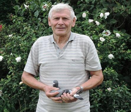 VANNESTE NORBERT Houthulst - jong op afspraak