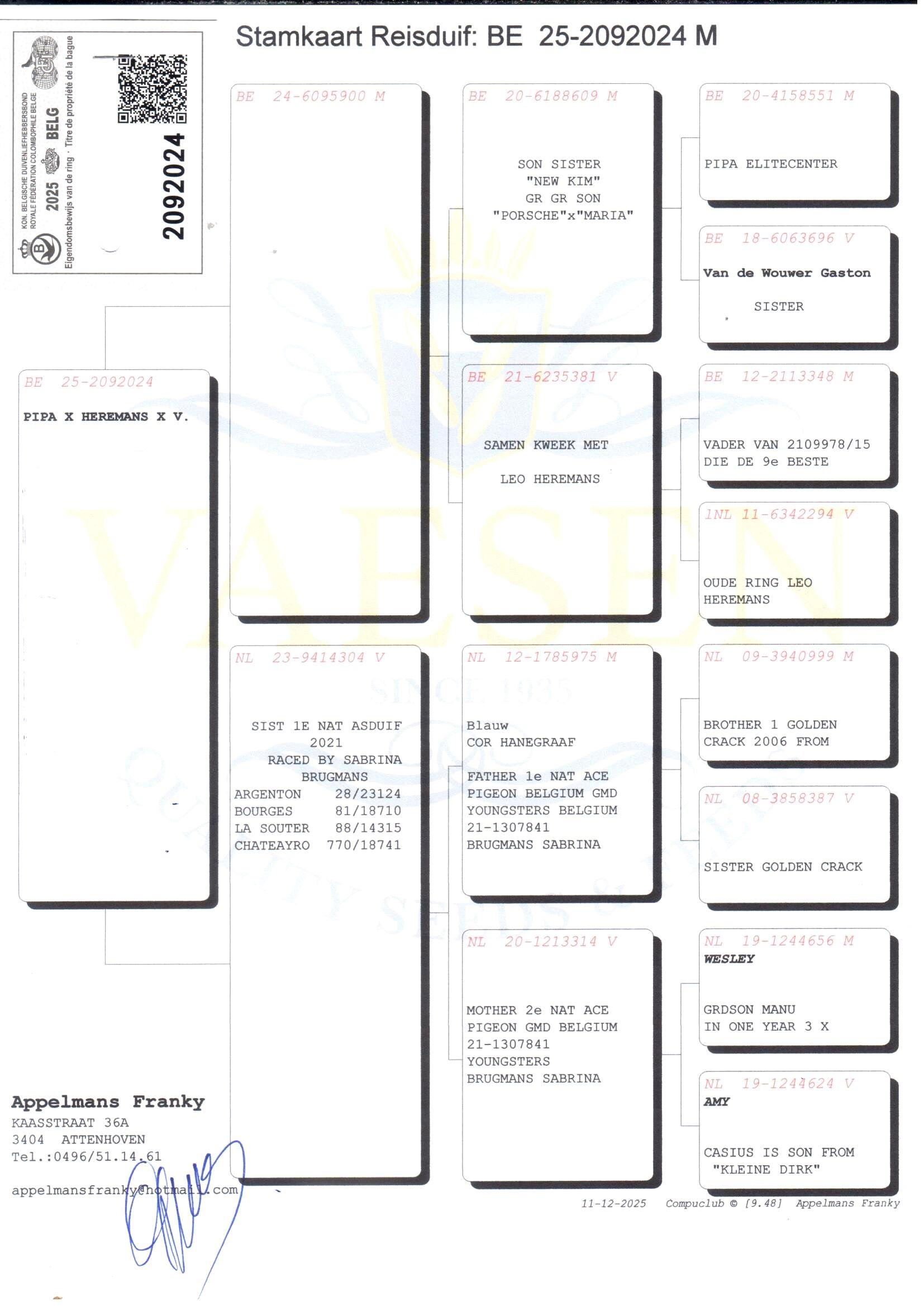 pedigree Kleinzoon zus New Kim x Zus 1° Nat As ’21 