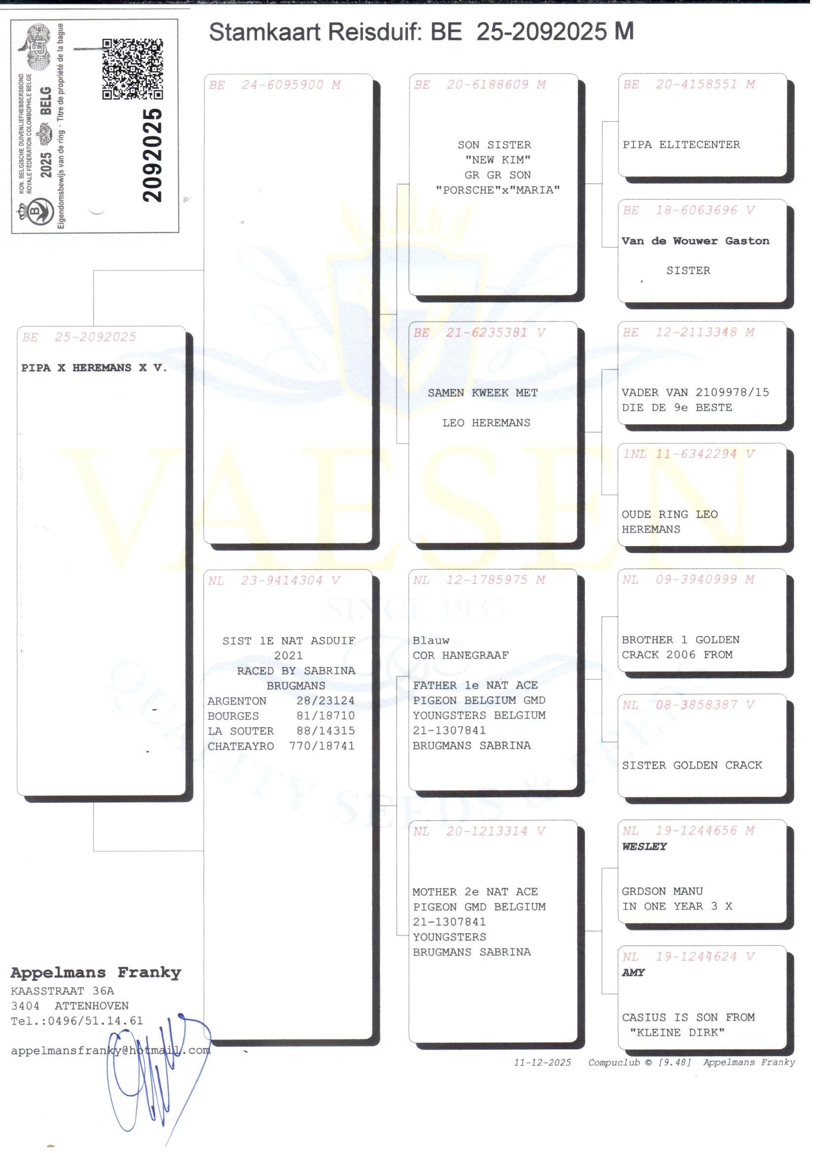 pedigree Kleinzoon zus New Kim x Zus 1° Nat As ’21 
