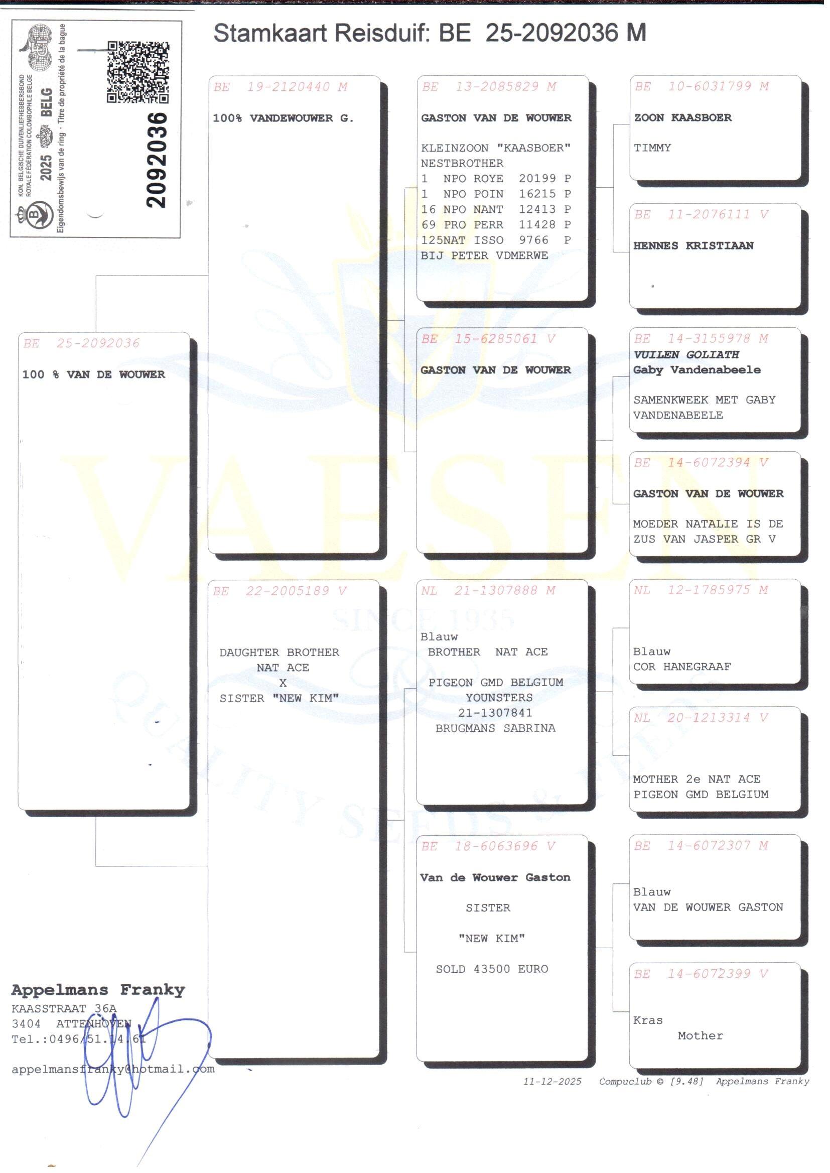 pedigree Zoon uit kleinzoon Kaasboer x Dochter uit zus New Kim 