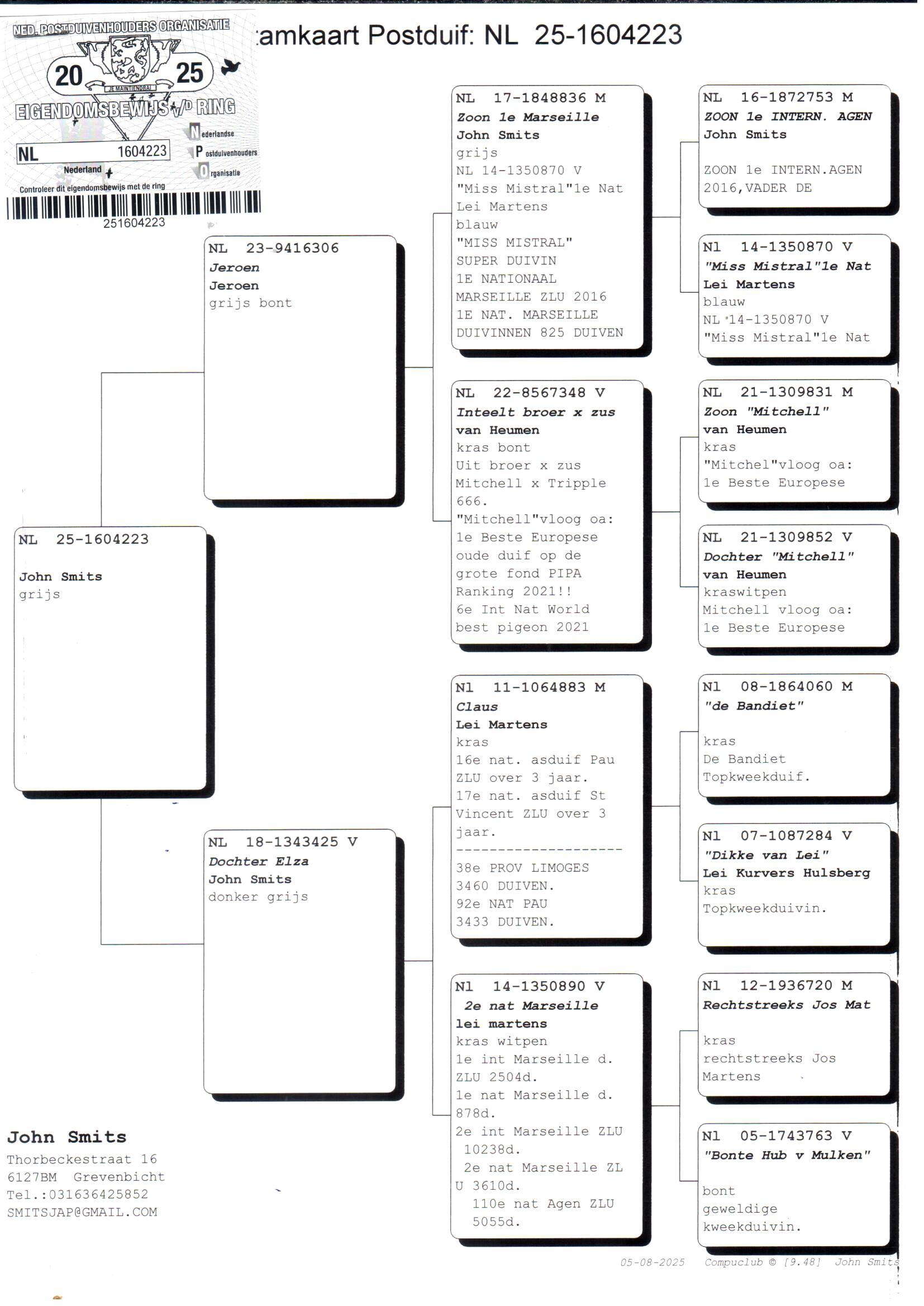 pedigree Kleinzoon 1° Nat Marseille x Dochter Elza 