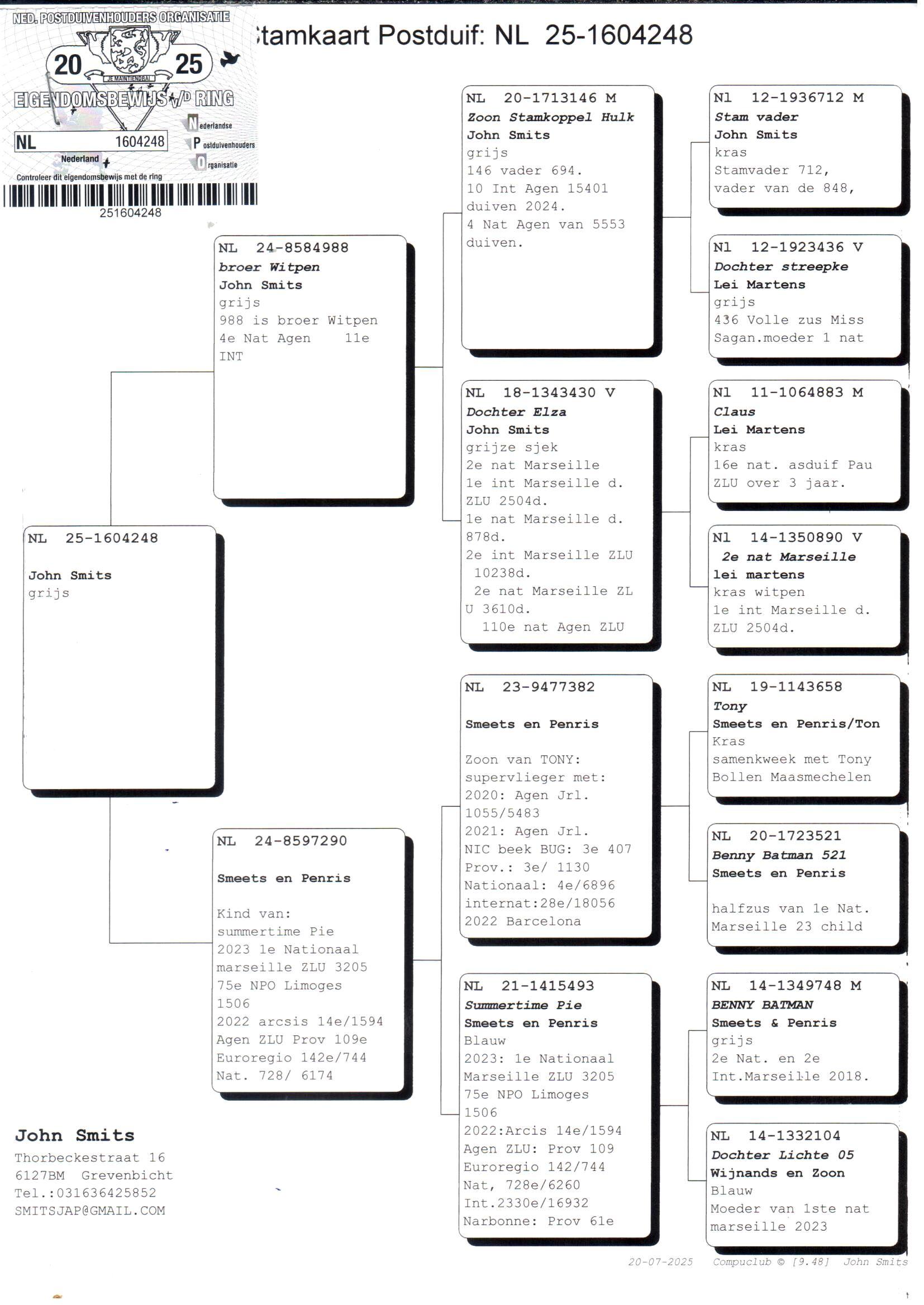 pedigree Kleinzoon Elza x Dochter Summertime Pie 