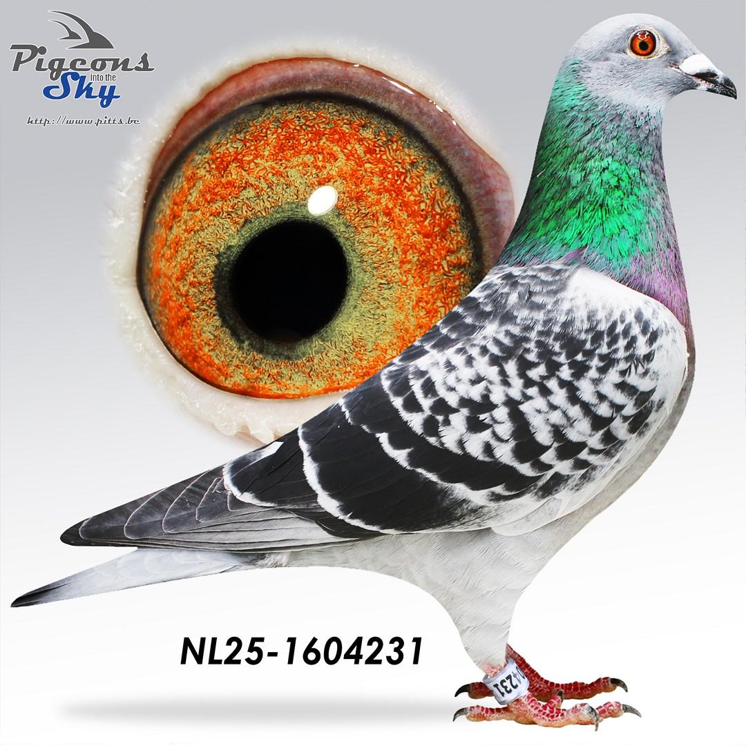 Zoon Moeder Overste x Dochter Kleintje 