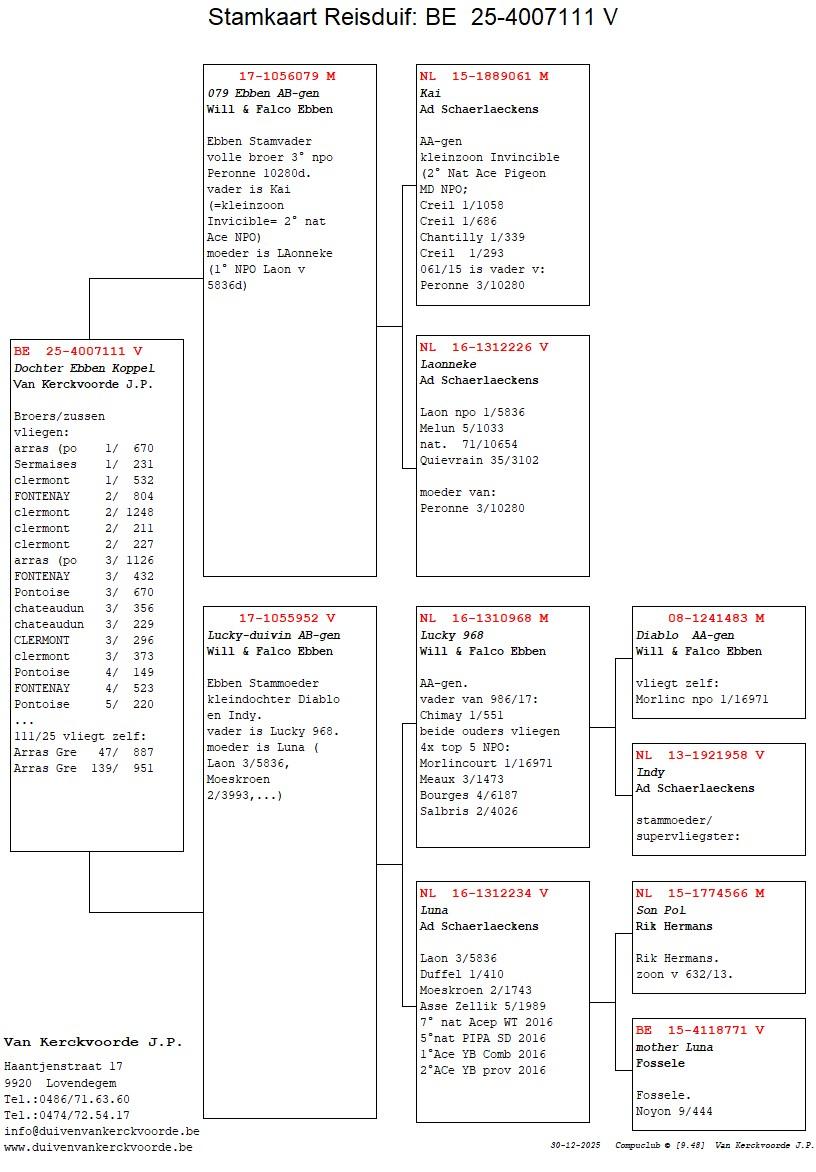 pedigree 079 Ebben AB-gen x Lucky Duivin AB-gen 