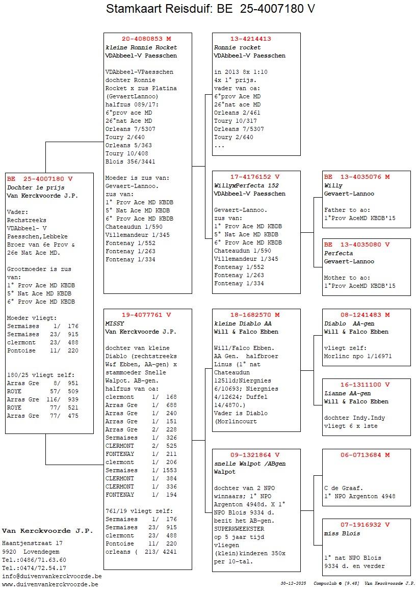 pedigree Kleine Ronnie Rocket x Missy 