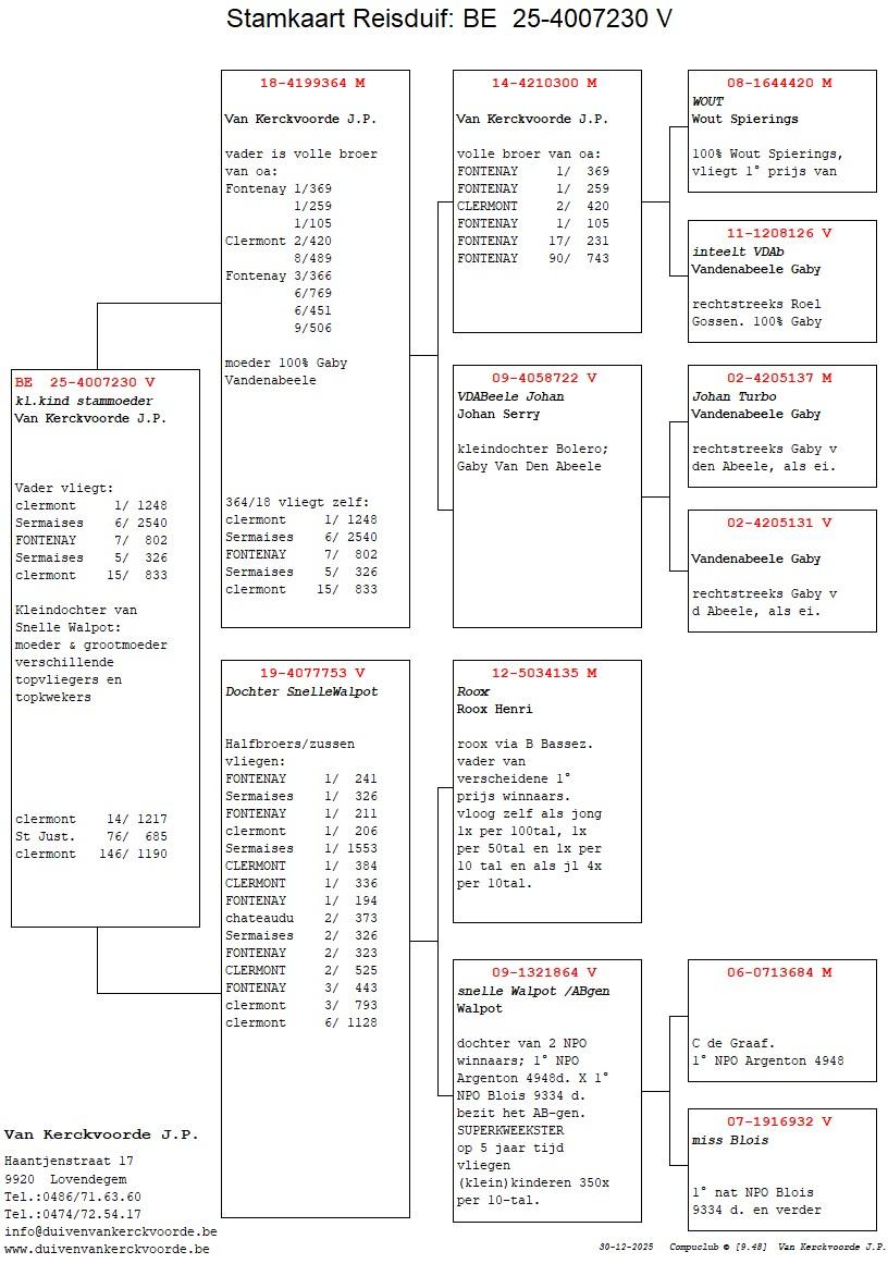 pedigree Kleindochter stammoeder Van Kerckvoorde