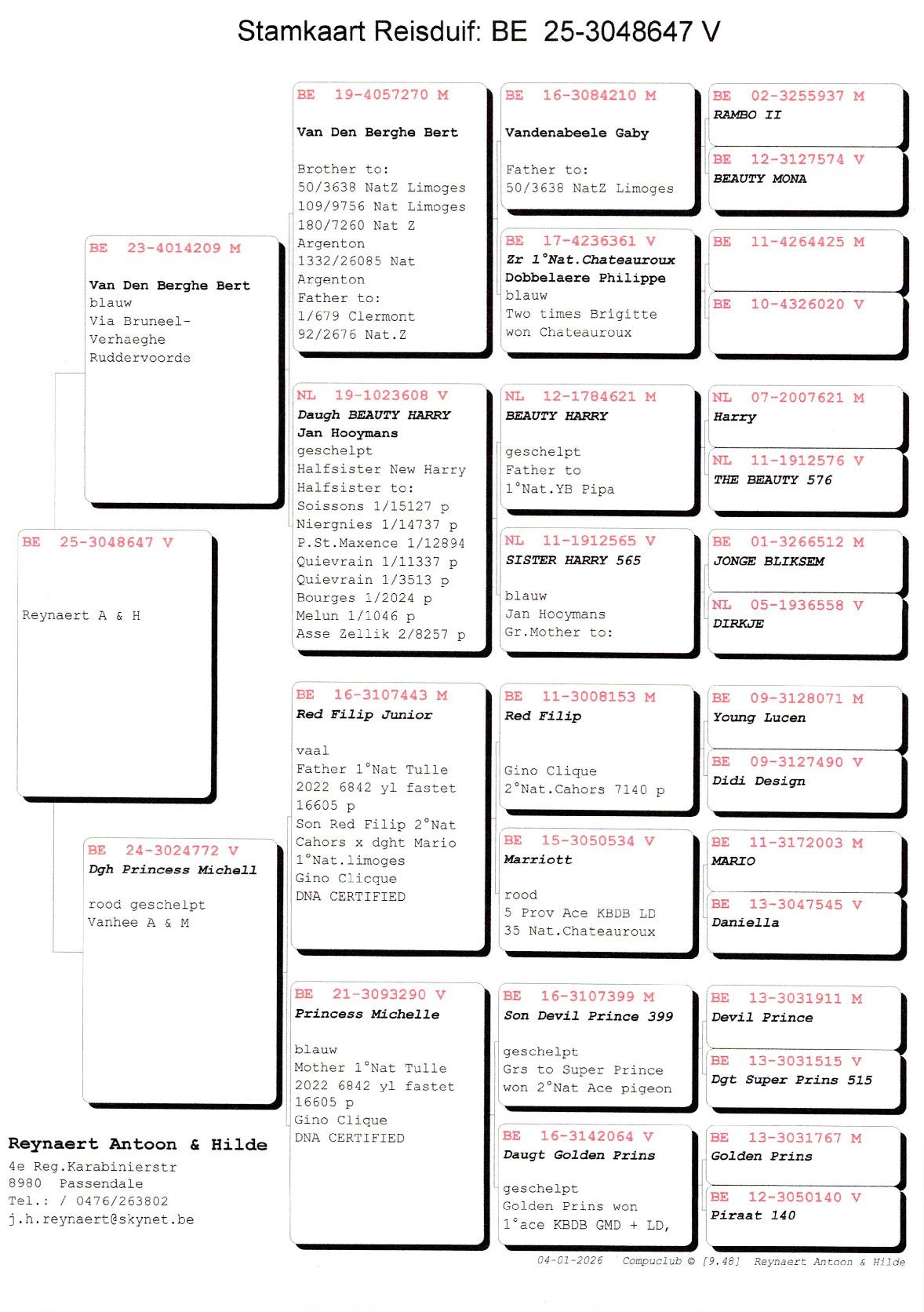 pedigree REYNAERT A & H Passendale - duivin ter plaatse zomerjong