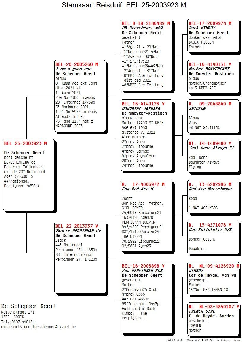 pedigree De Schepper Geert (Gooik) duif ter plaatse