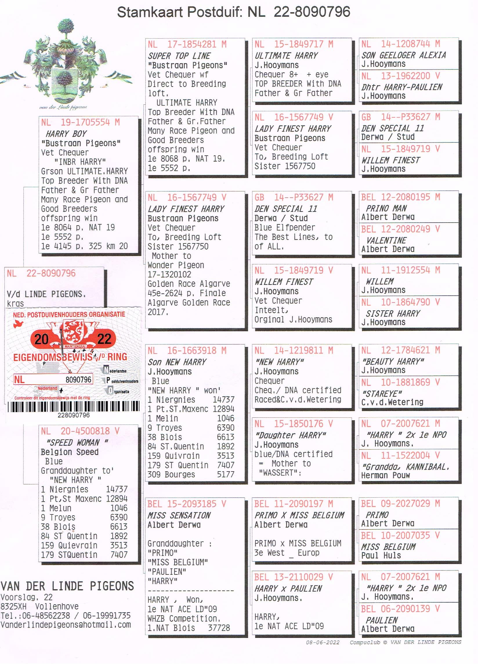 Meert Yves (Johny) (Pollare) duif ter plaatse - Familie