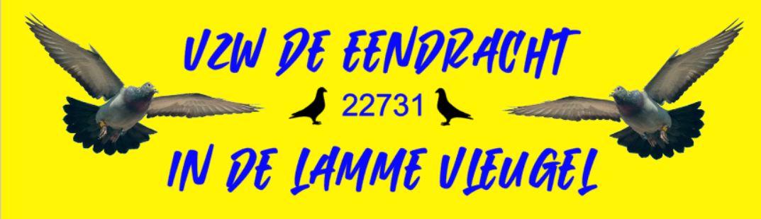 Mertens Noël ( Tollembeek) jong op afspraak