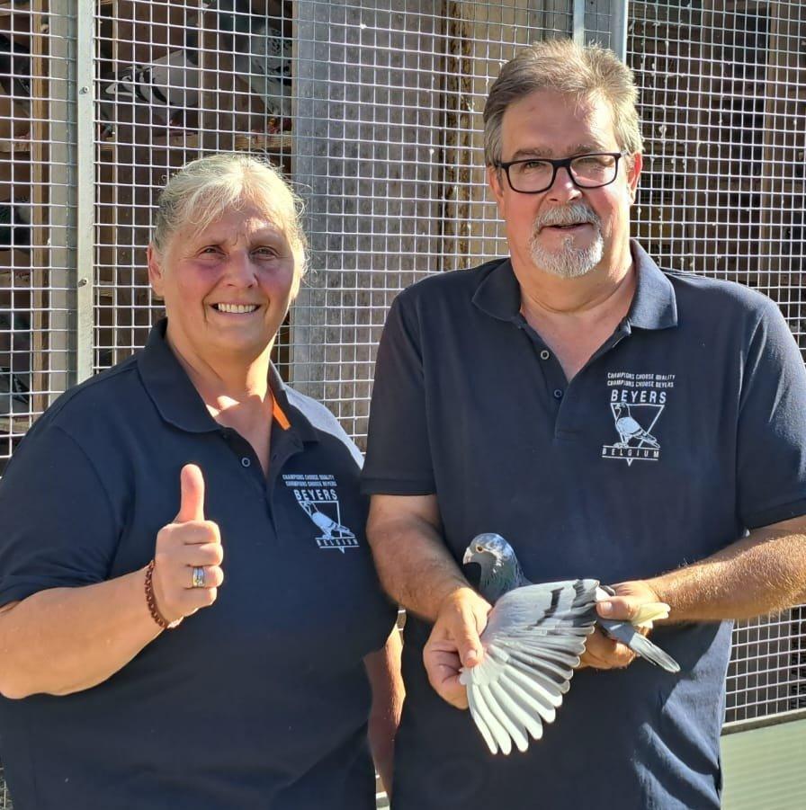 De Muylder - Moonens (Lennik) duif ter plaatse