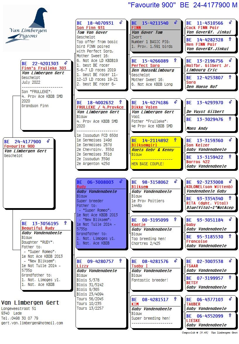 pedigree Favourite 900-EXCLUSIEF AANBOD! Kleinzoon FINN x Dochter RUDY