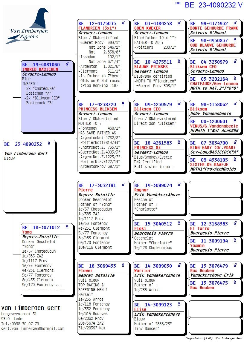 pedigree Dochter 1. Prov & 1. Zone Chateaudun - Kleindochter FLANDRIEN Gevaert-Lannoo