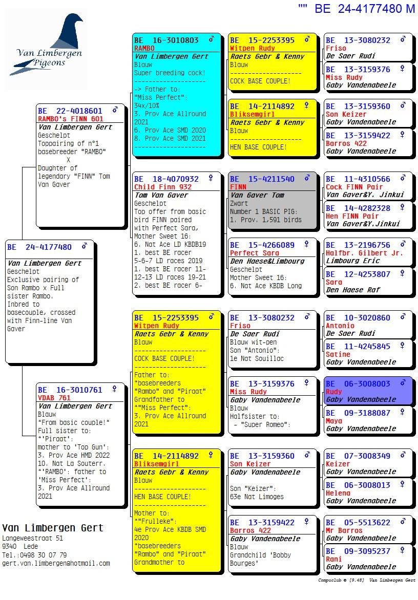 pedigree Inteelt naar stamdoffer RAMBO - Lijn FINN Van Gaver