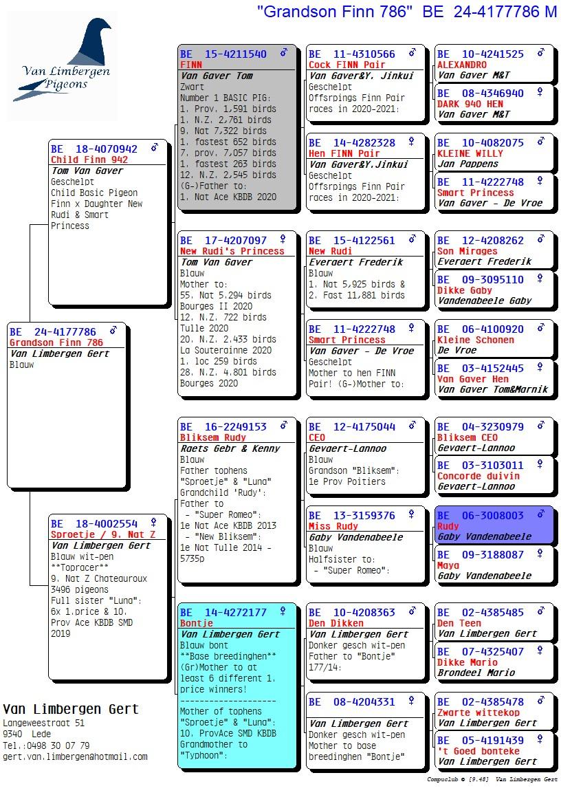 pedigree Zoon topduivin SPROETJE - Kleinzoon FINN