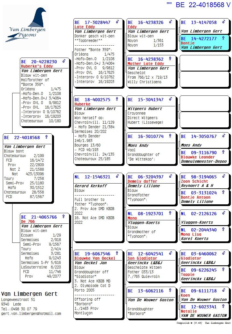 pedigree De 568 - 21. Nat Z Chateauroux, 25. Semi-Pr Toury - Dochter topduivin '766'