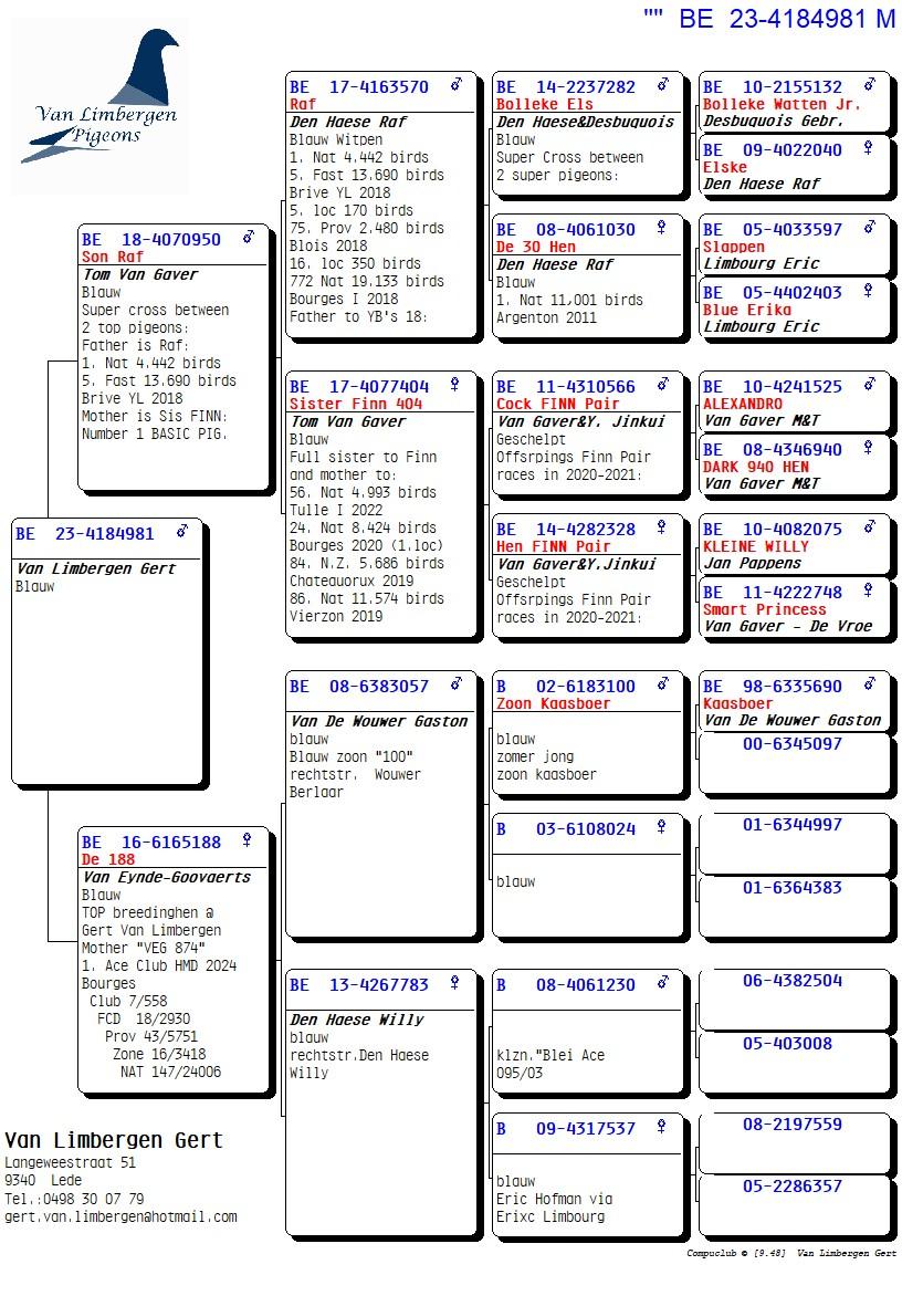 pedigree Kleinzoon RAF: 1. Nat Brive (Tom Van Gaver)