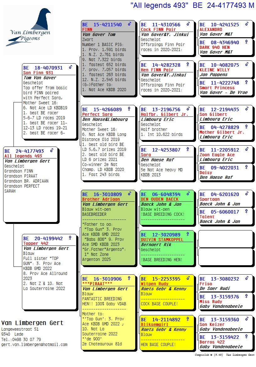 pedigree All Legends 493 - TOPAANBIEDING! - Kleinzoon FINN