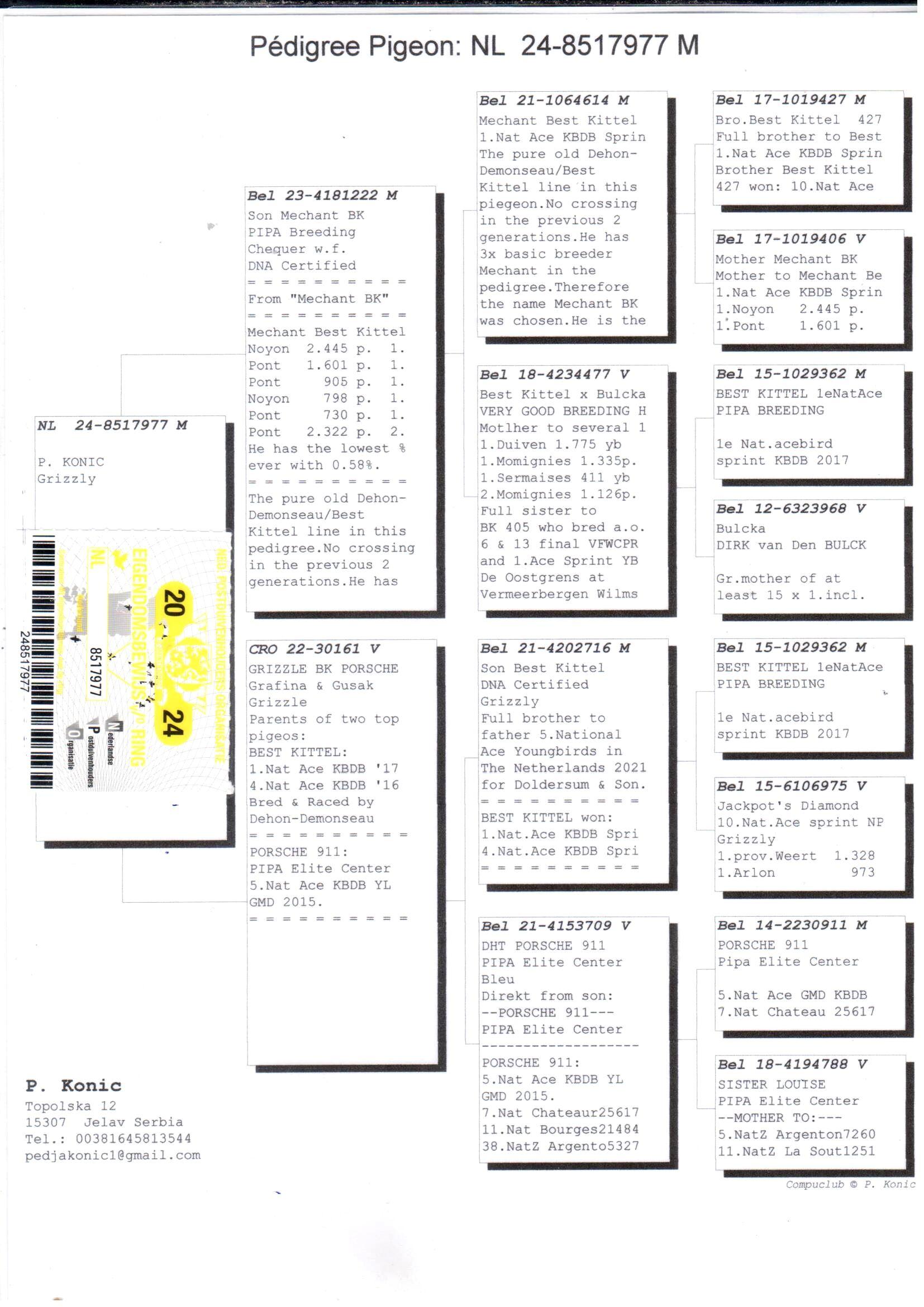 pedigree Son Mechant BK x Grizzle BK Porsche 