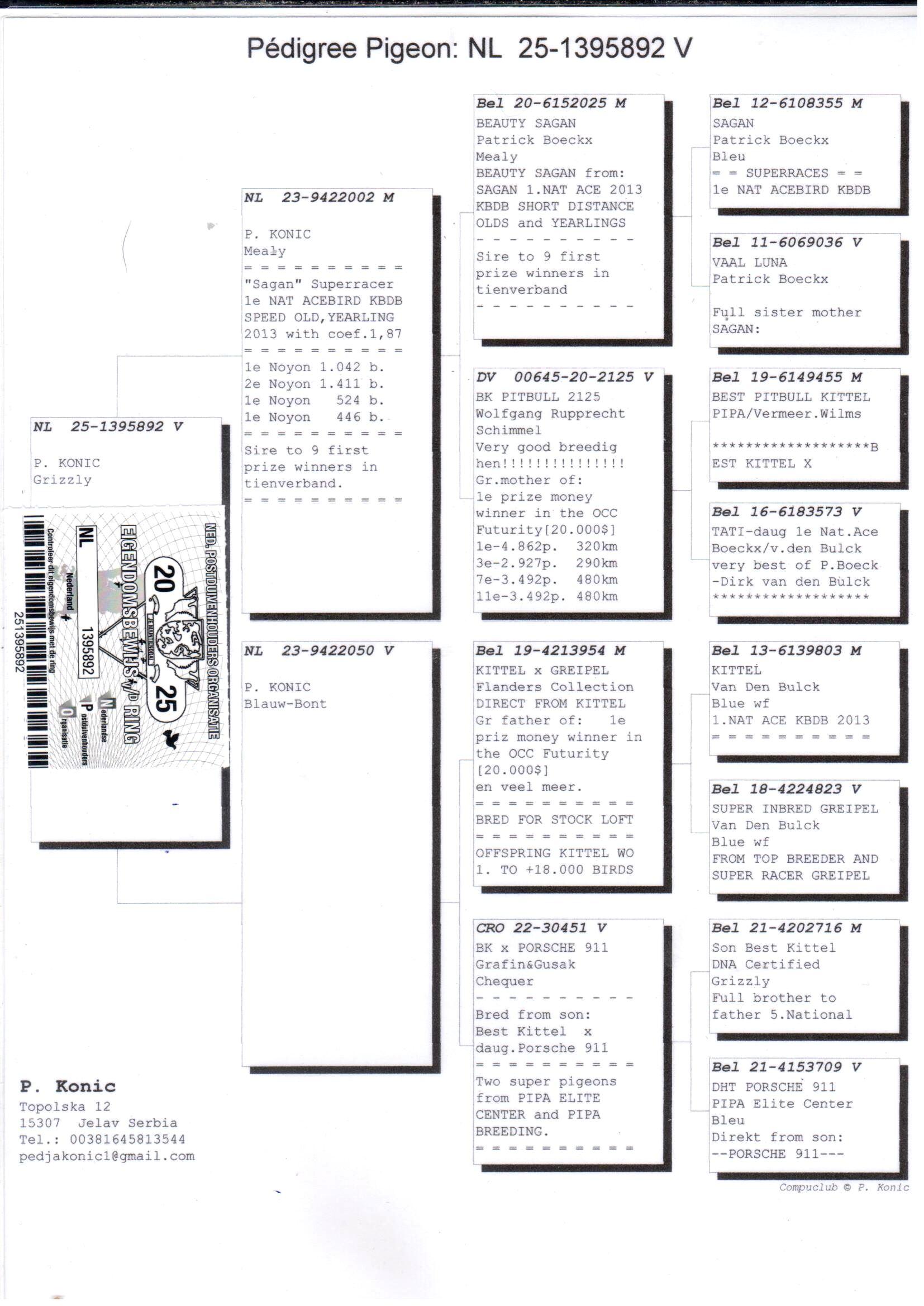 pedigree Zoon Beauty Sagan x Kleindochter Kittel 