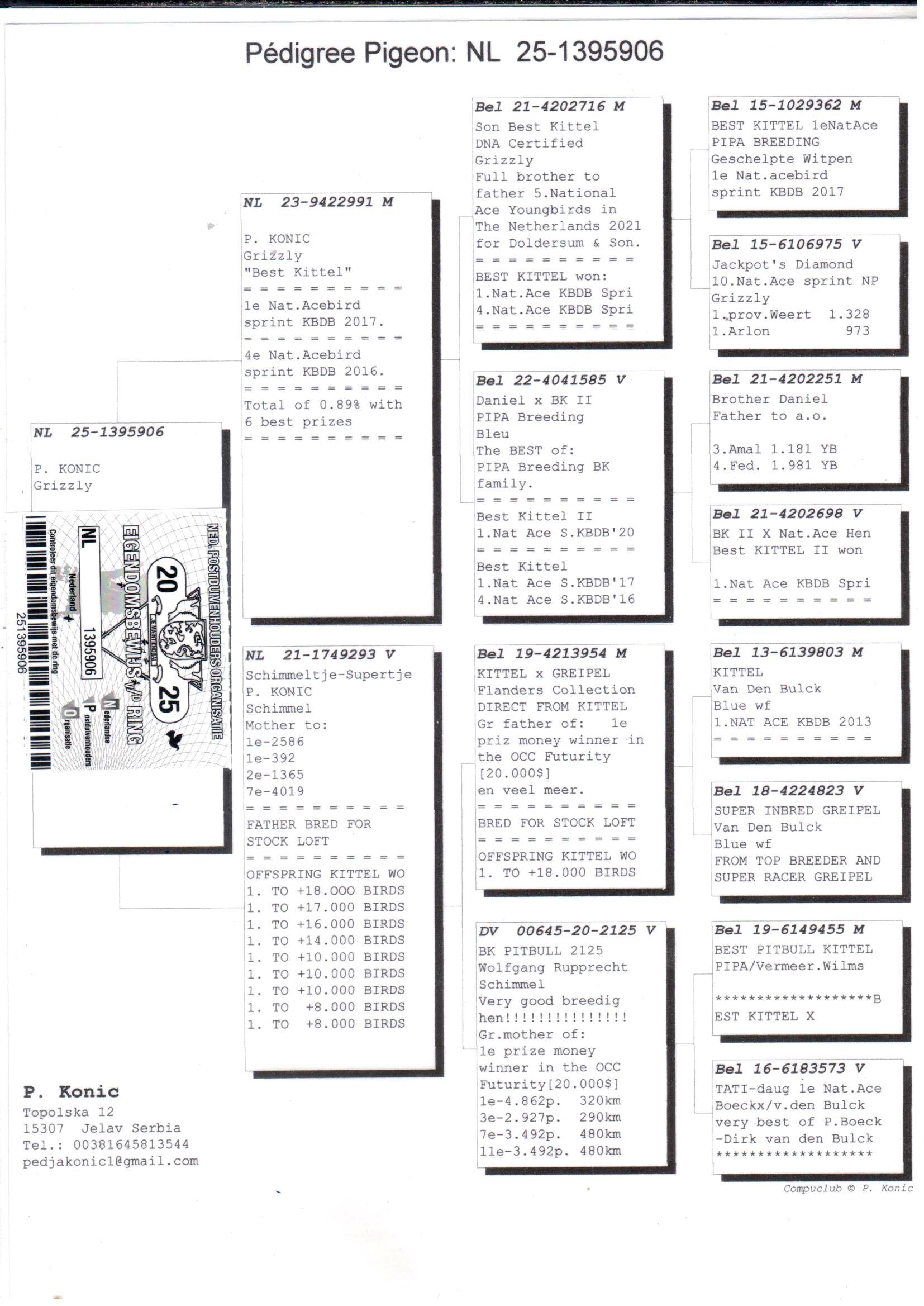 pedigree Kleinzoon Best Kittel x Schimmeltje-Supertje 