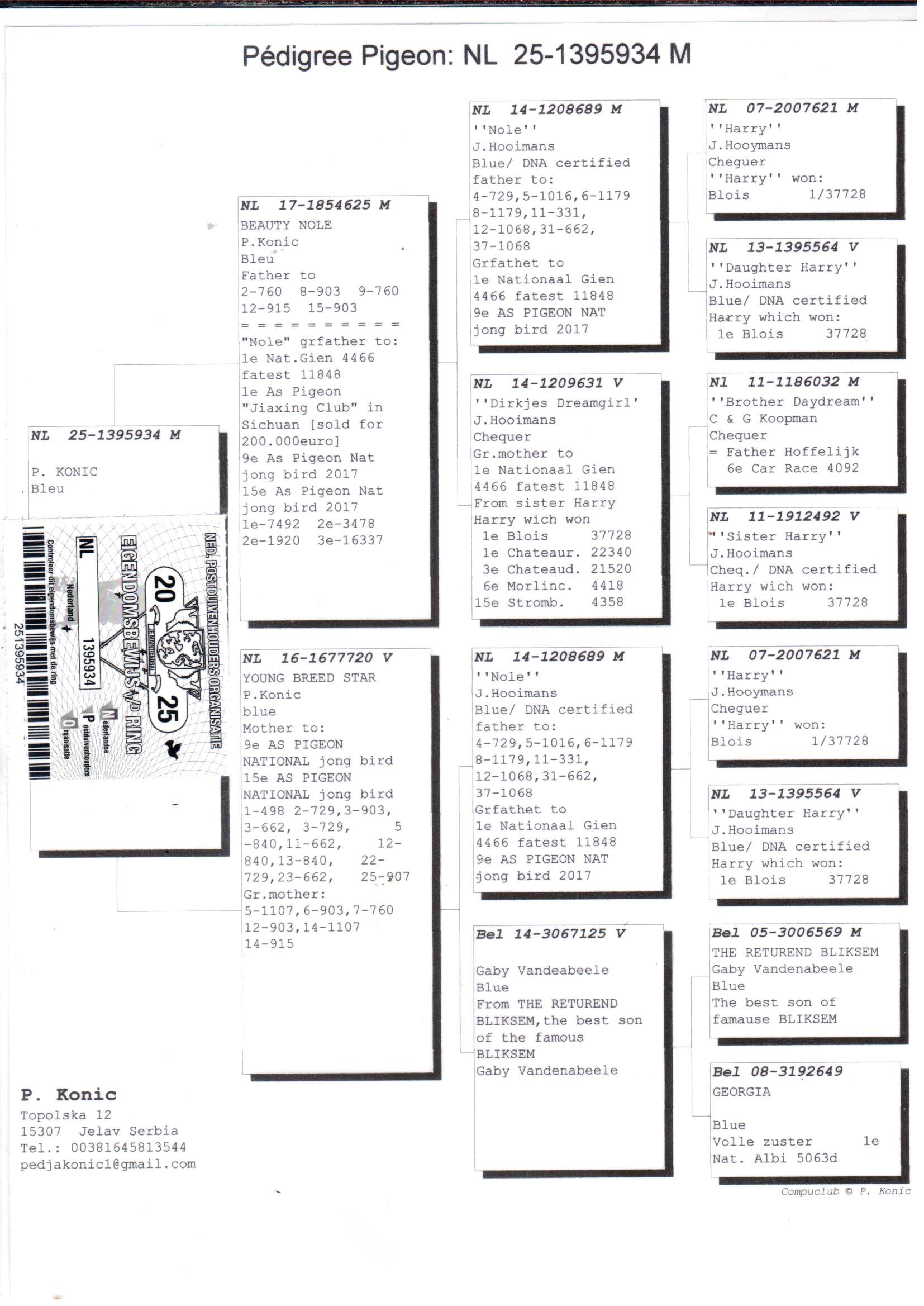 pedigree Beauty Nole x Young Breed Star 
