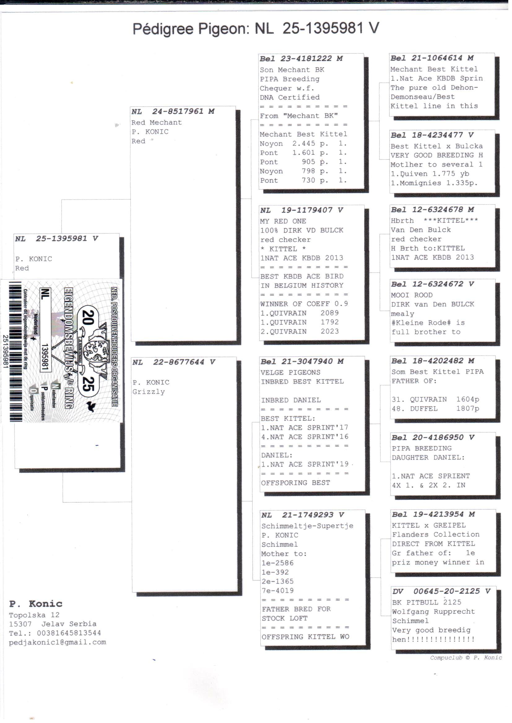 pedigree Red Mechant x Dochtert inteelt Best Kittel 