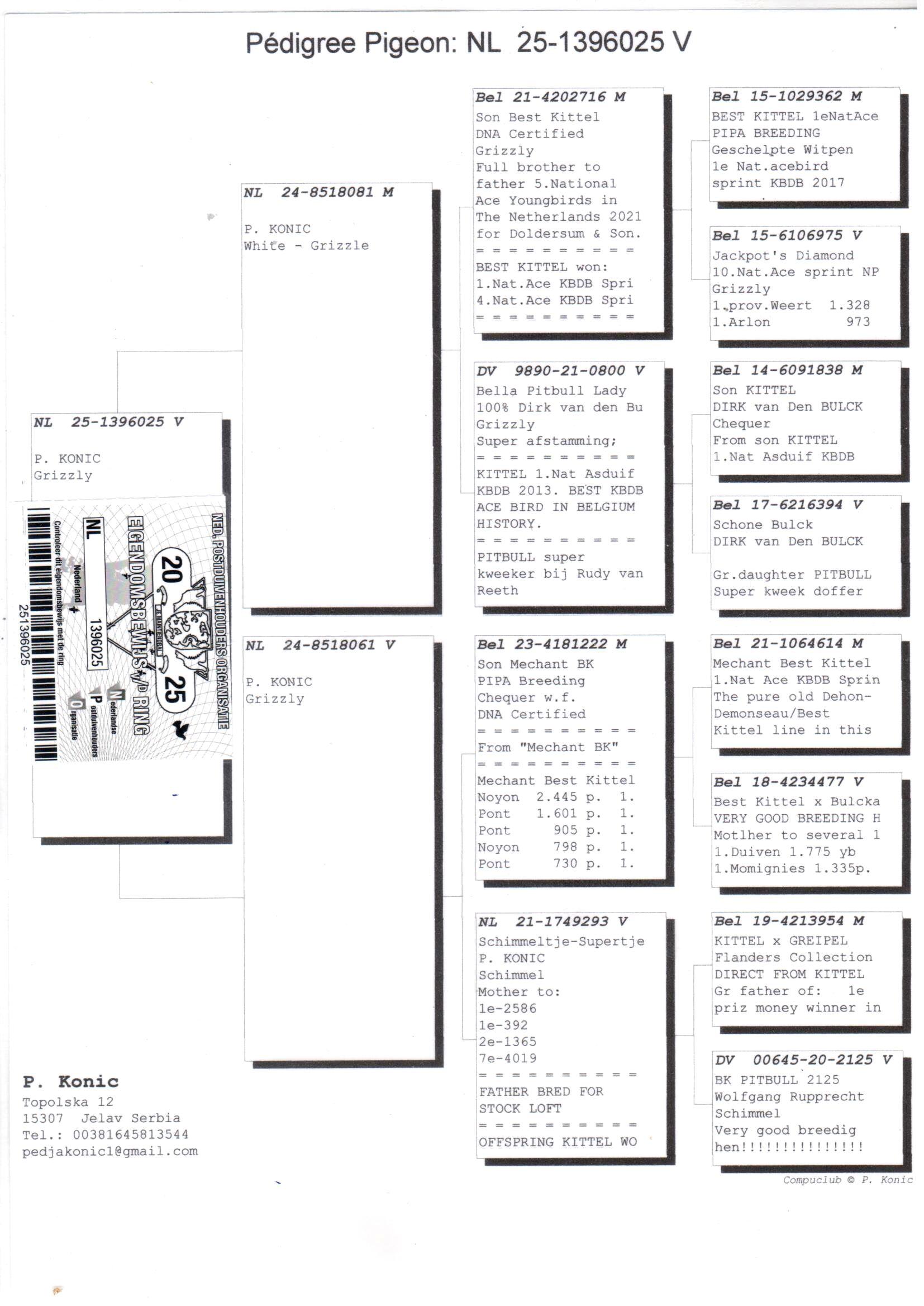 pedigree Kleinzoon Best Kittel x Kleindochter Mechant Best Kittel 
