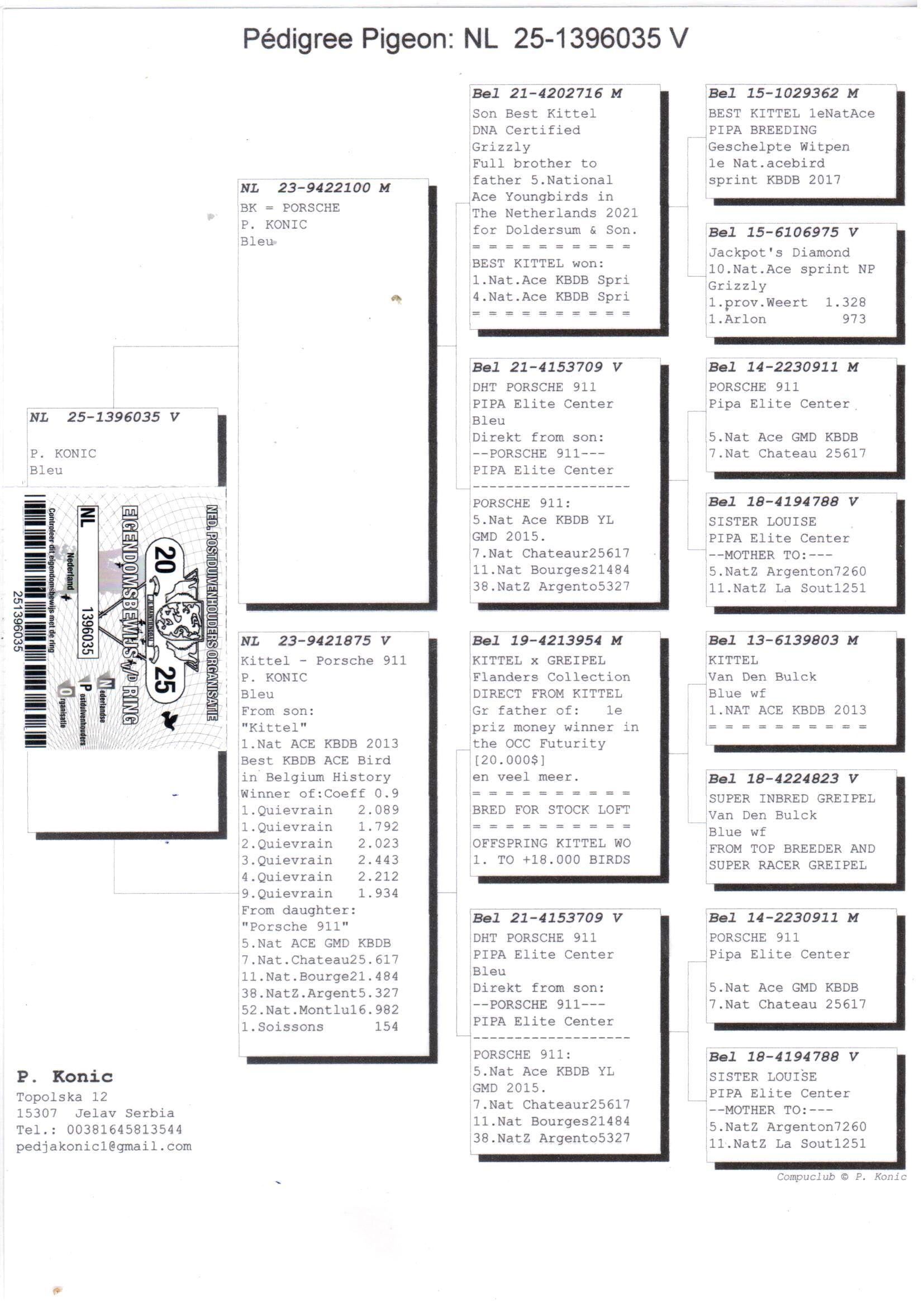 pedigree Kleinzoon Porsche 911 x Kleindochter Porsche 911 