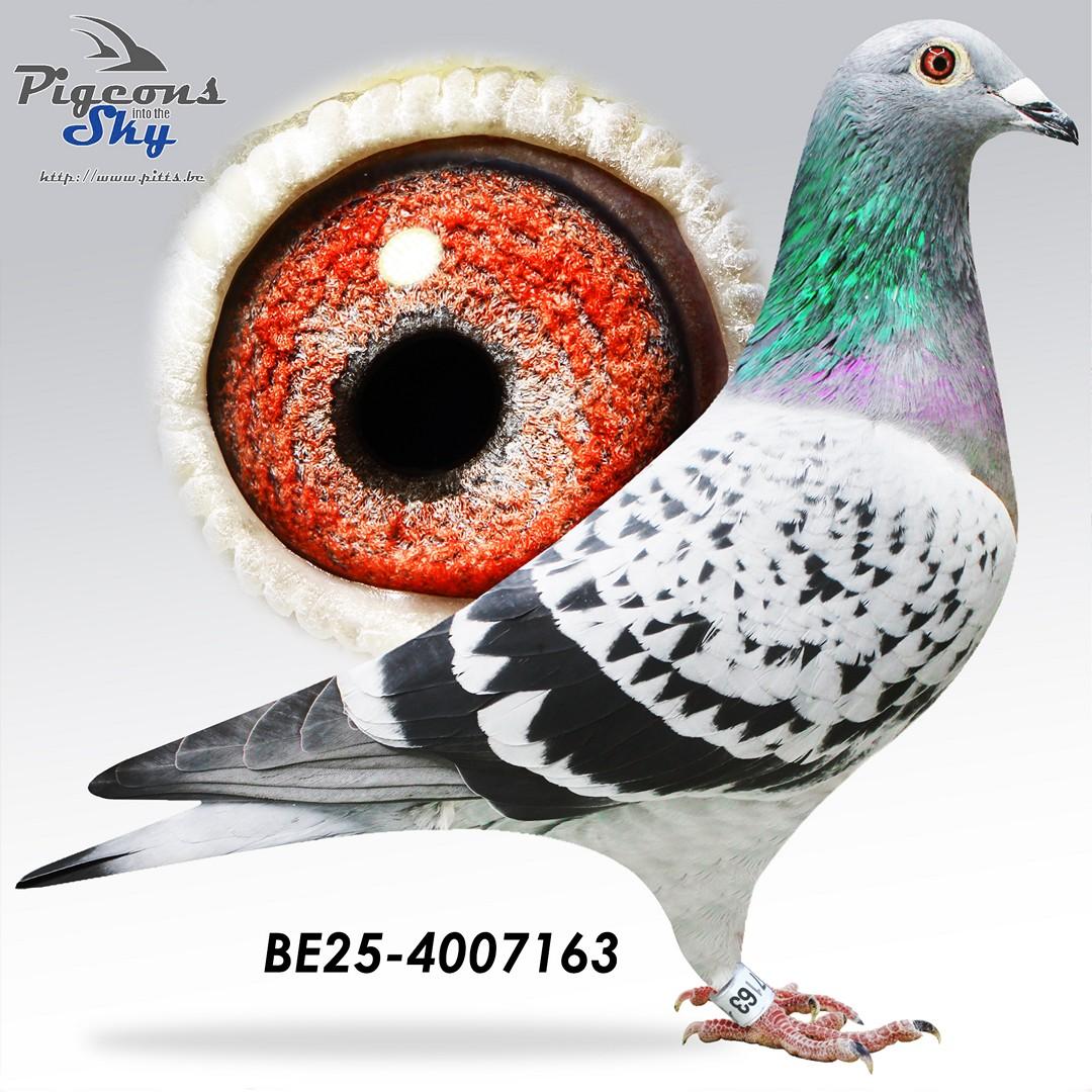 Return 301 x John 23 