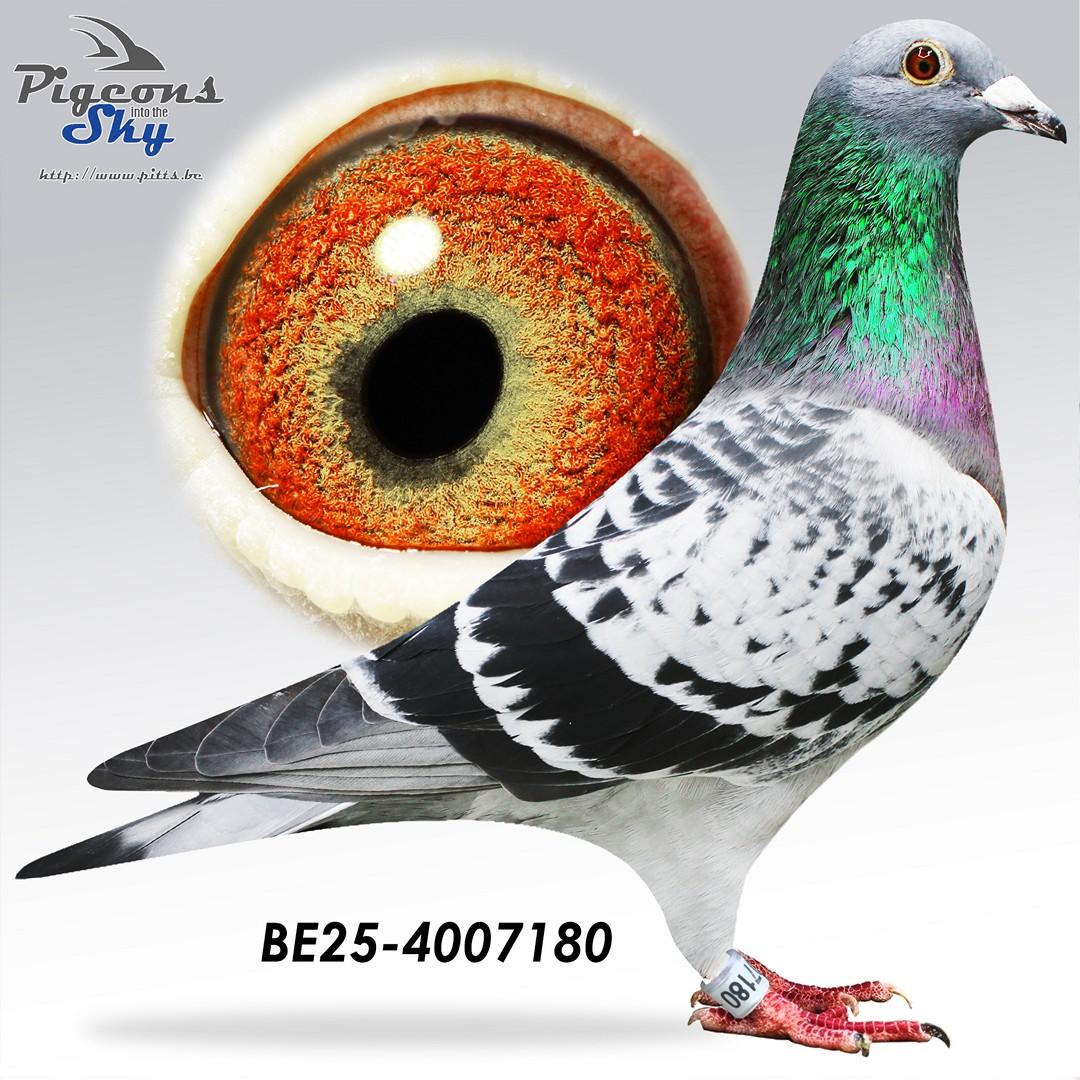 Kleine Ronnie Rocket x Missy 